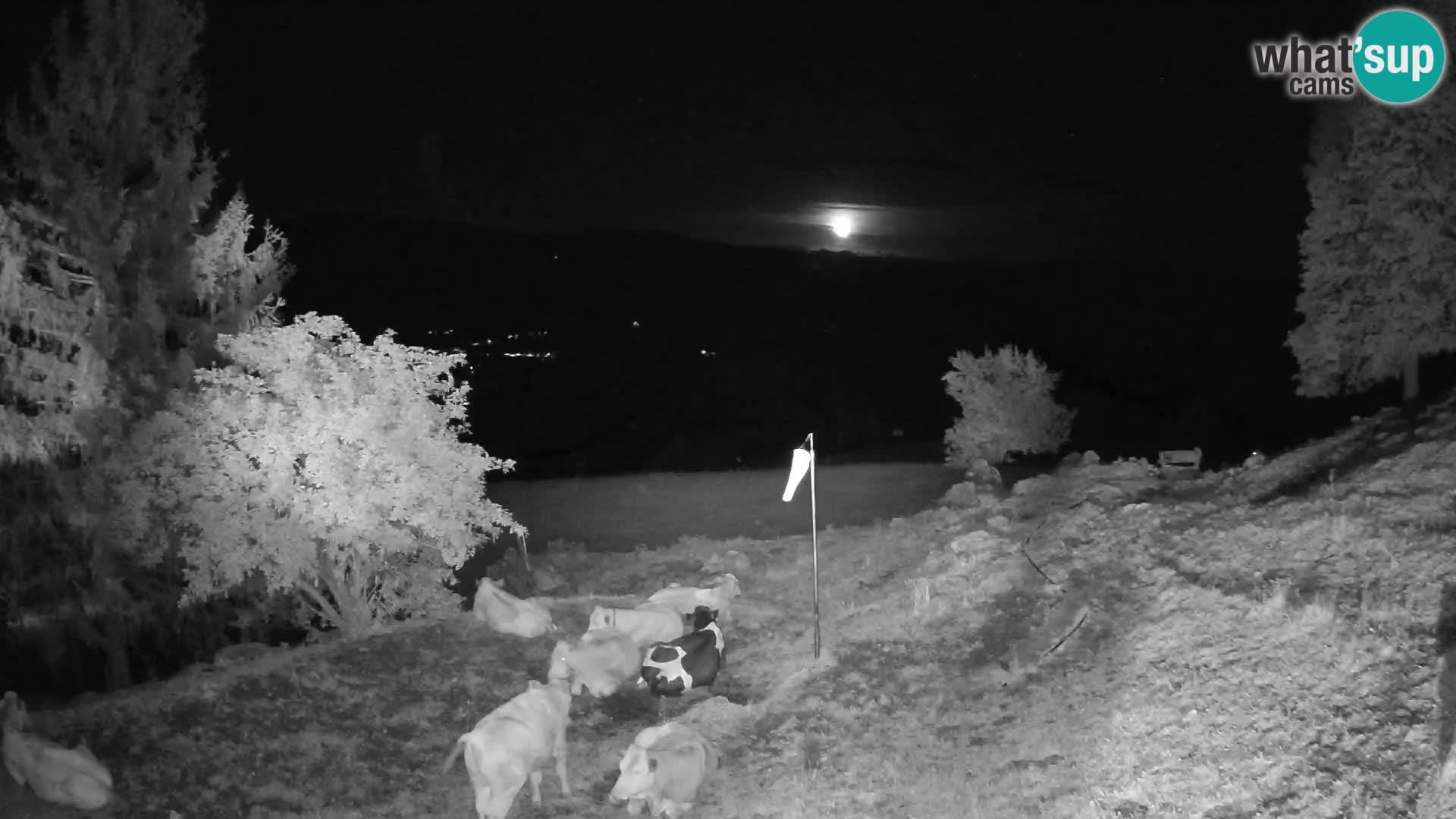 Slajka webcam | Gorenja Vas | Slowenien