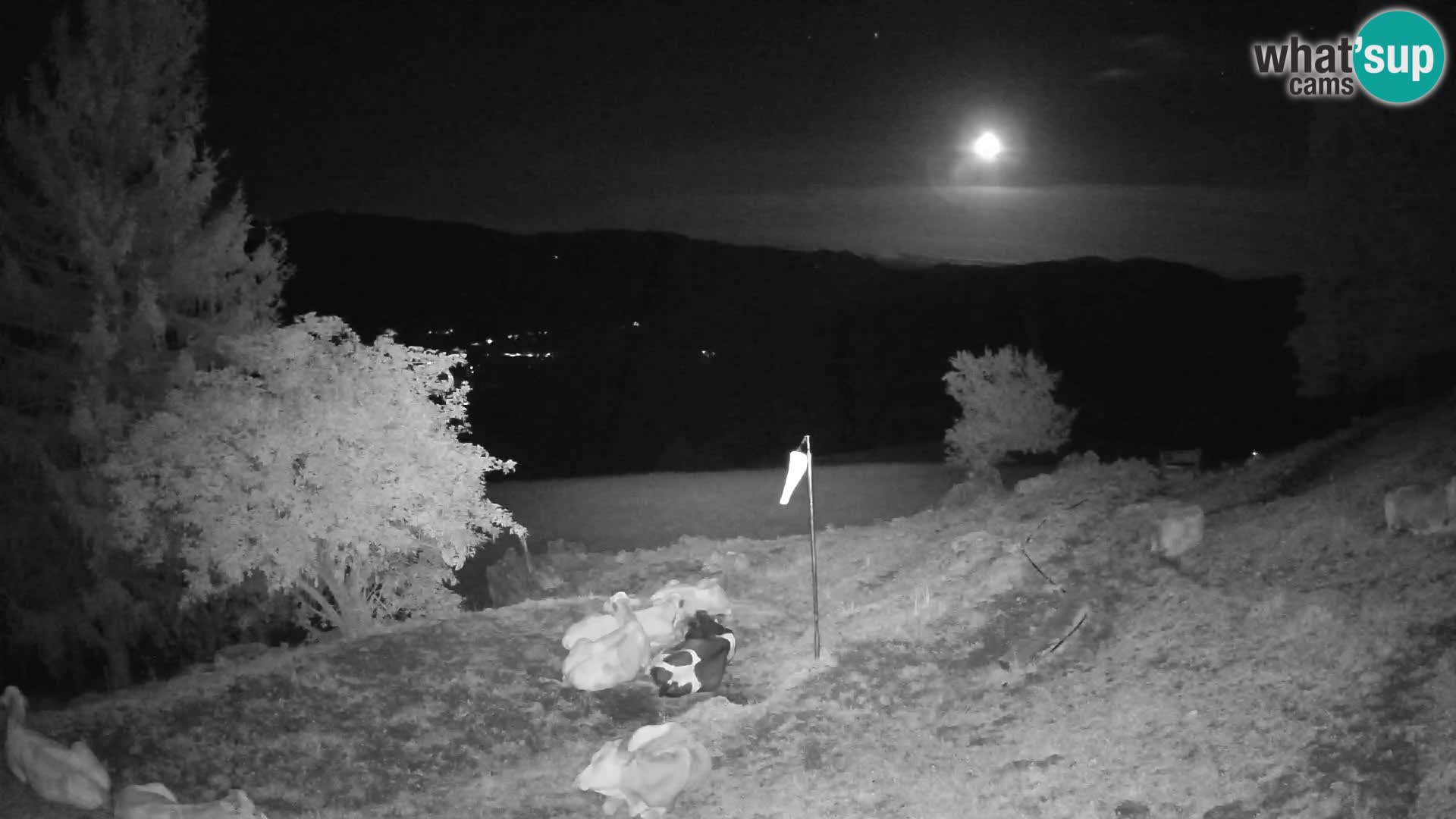 Slajka camera en vivo | Gorenja Vas | Eslovenia