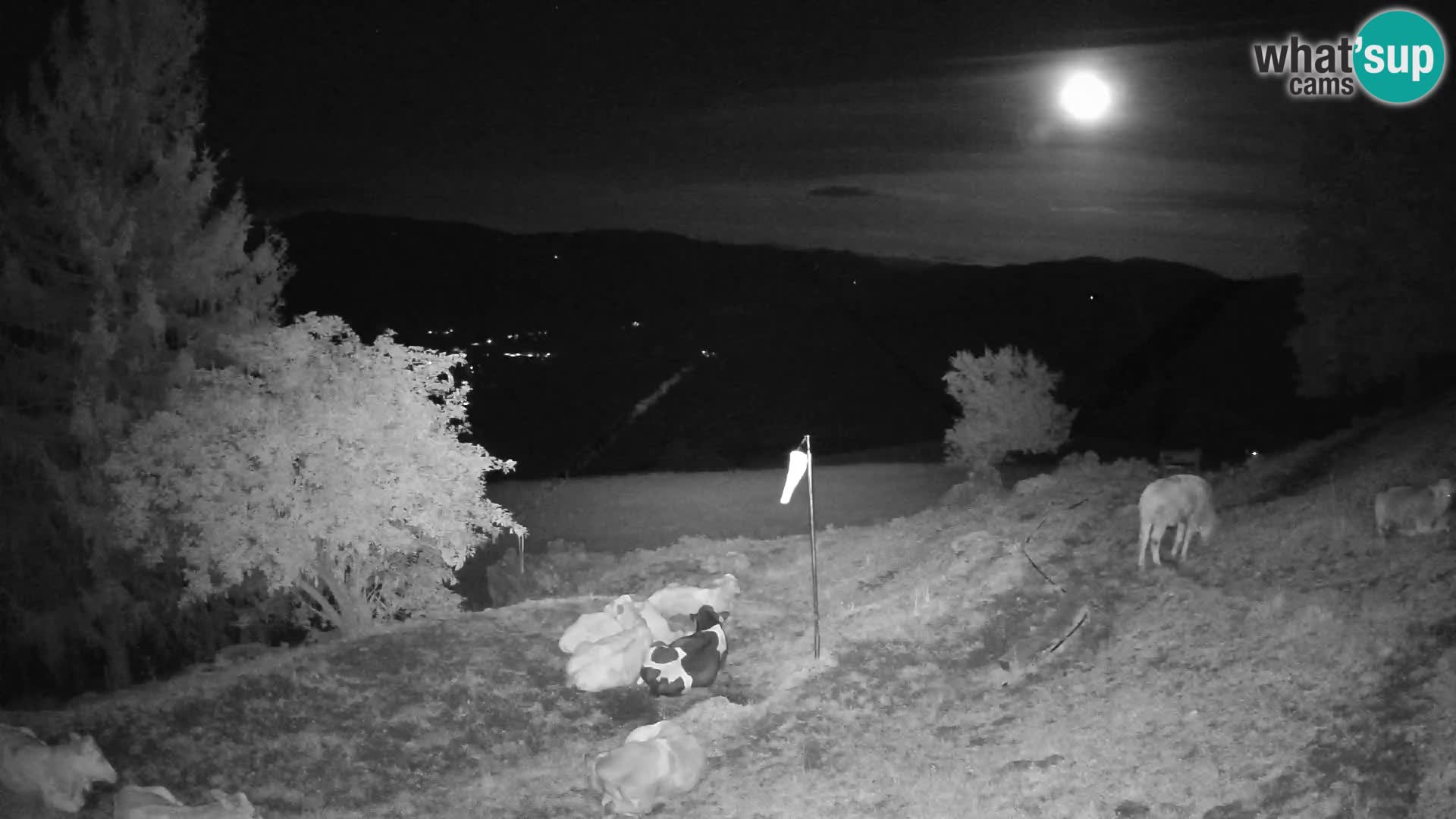 Slajka webcam | Gorenja Vas | Slowenien