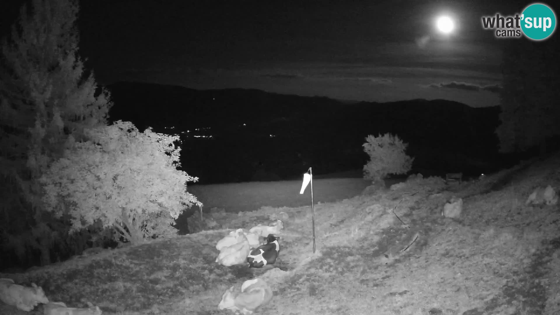 Slajka camera en vivo | Gorenja Vas | Eslovenia