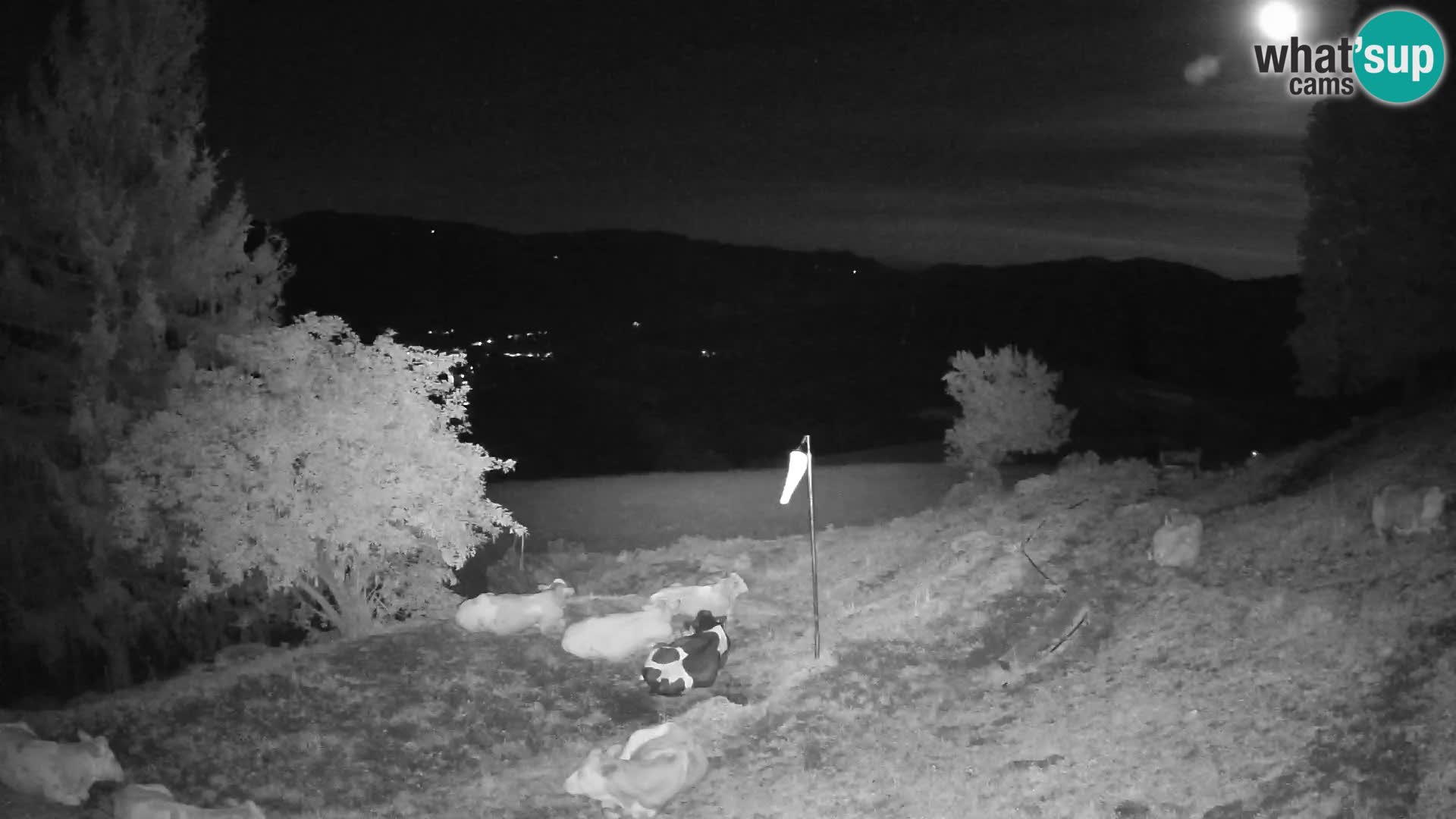 Slajka camera en vivo | Gorenja Vas | Eslovenia