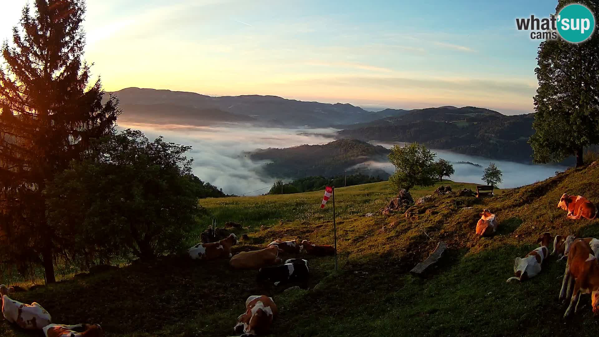 Slajka webam | Gorenja vas | Slovenia