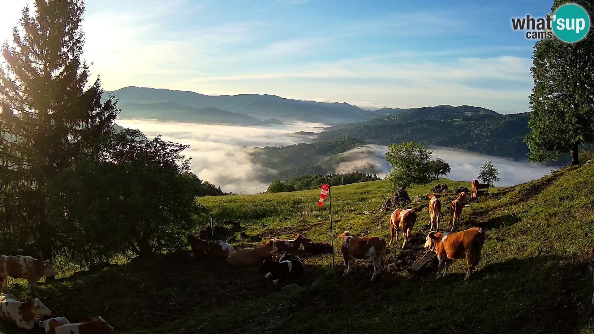 Slajka webam | Gorenja vas | Slovenia