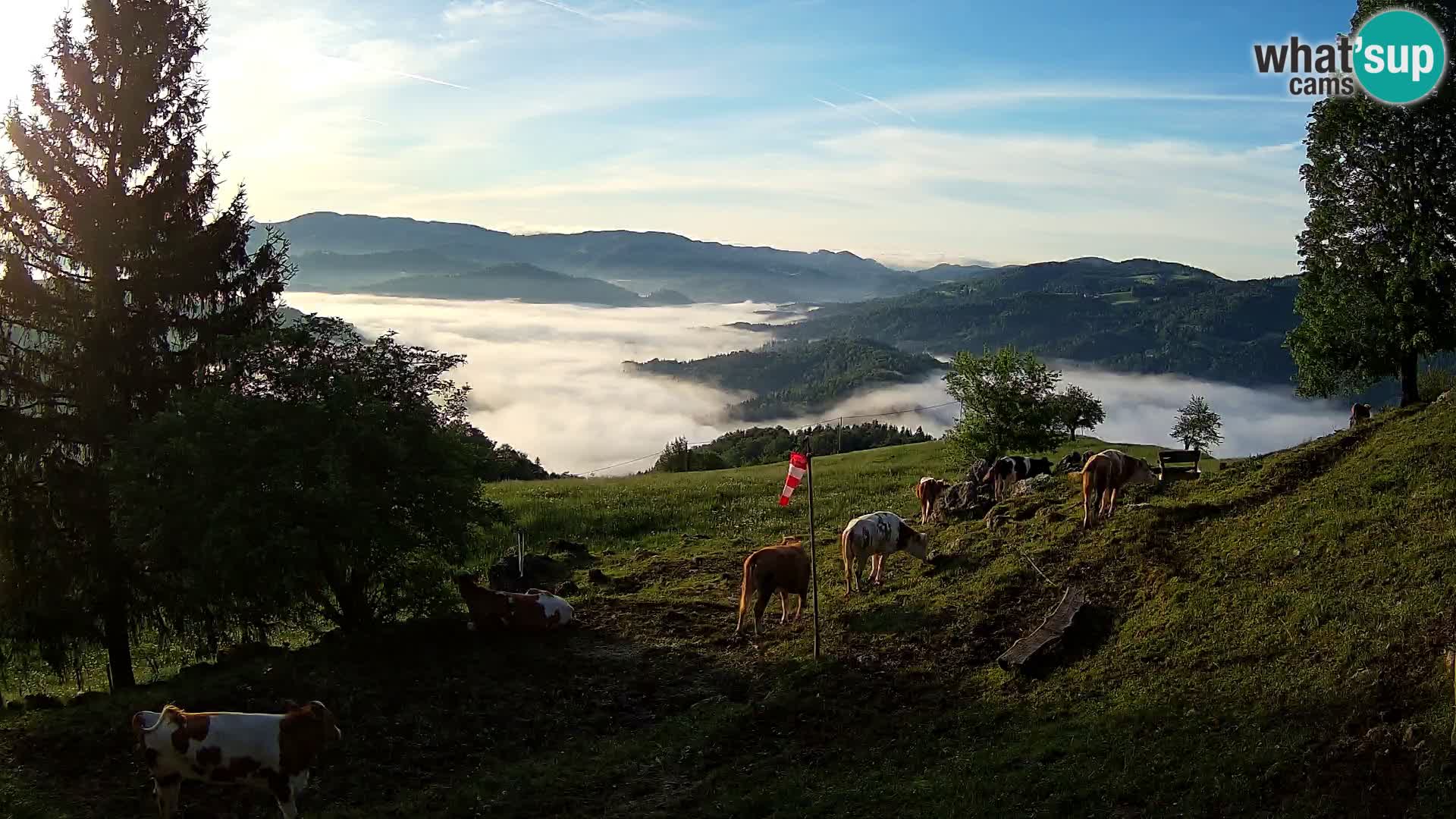 Slajka webam | Gorenja vas | Slovenia