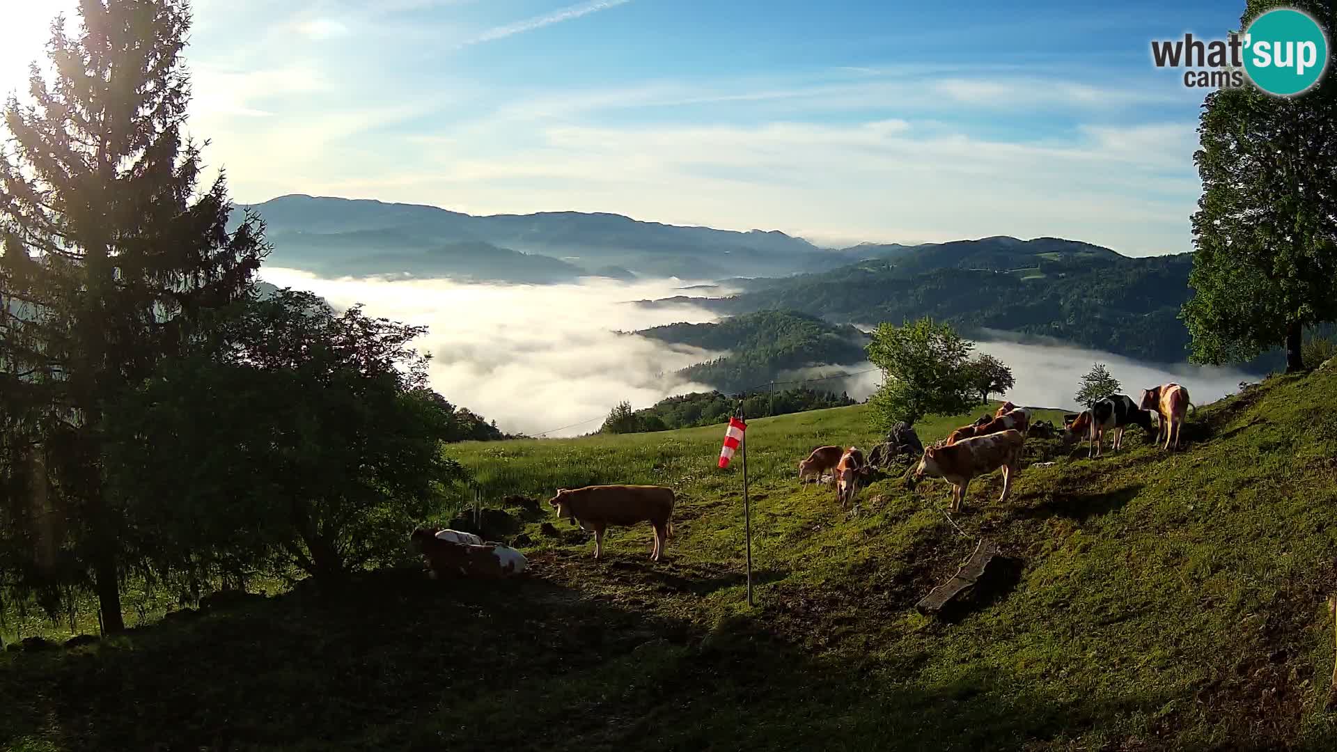 Webcam Slajka | Gorenja vas | Slovenia
