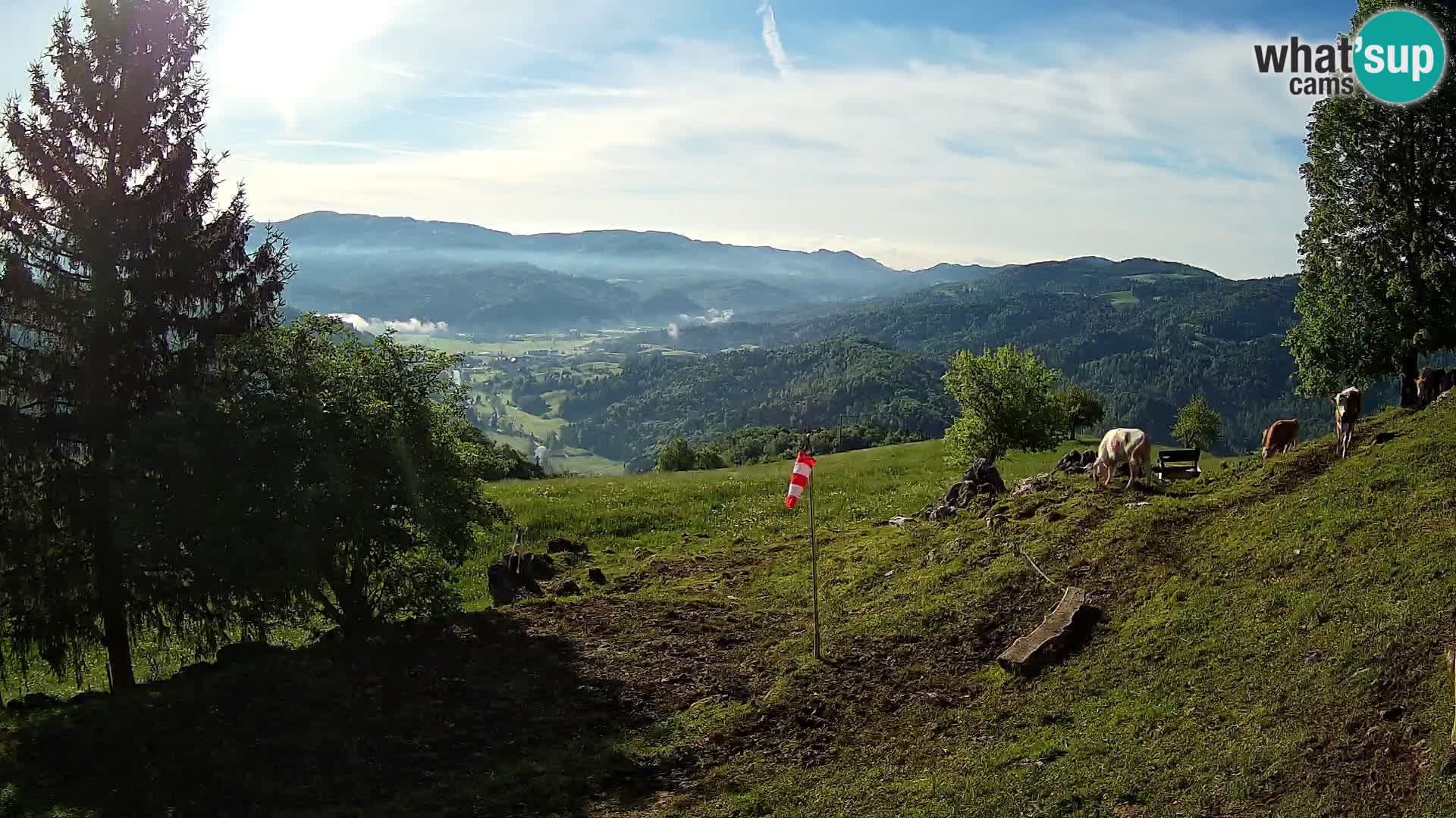 Slajka webcam | Gorenja Vas | Slowenien