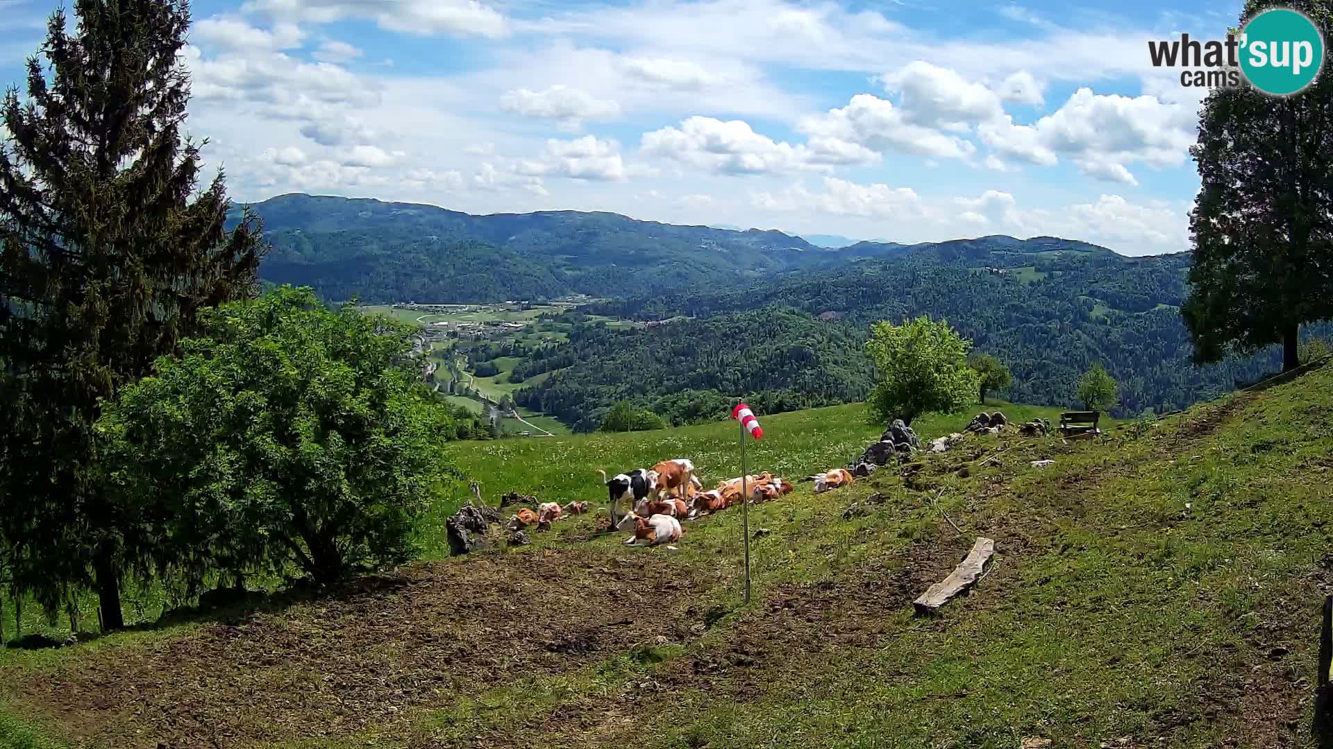 Slajka webcam | Gorenja Vas | Slowenien