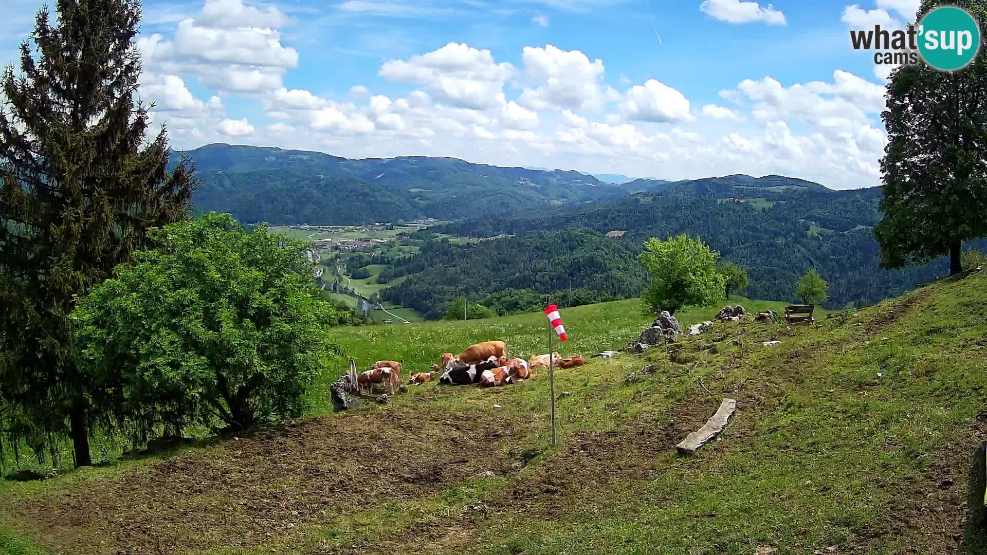 Slajka webam | Gorenja vas | Slovenia