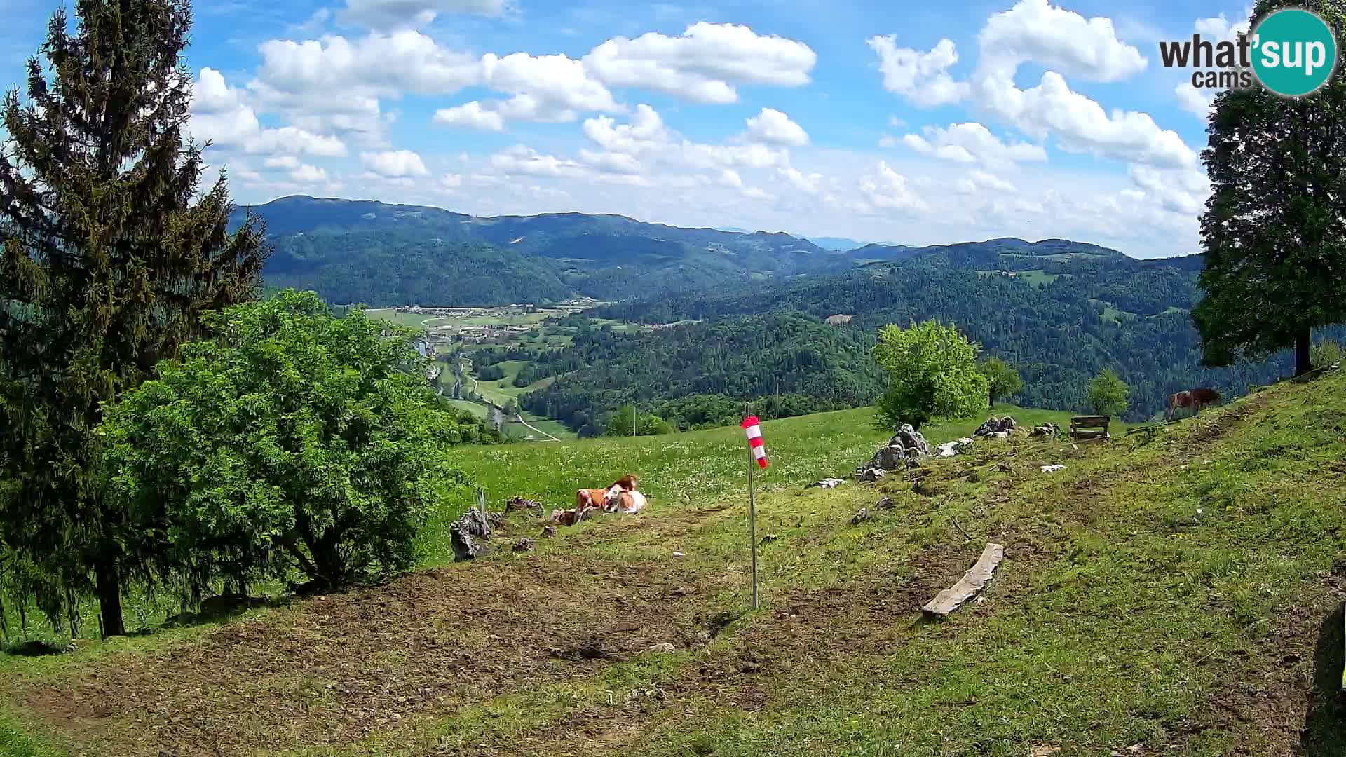 Slajka webam | Gorenja vas | Slovenia