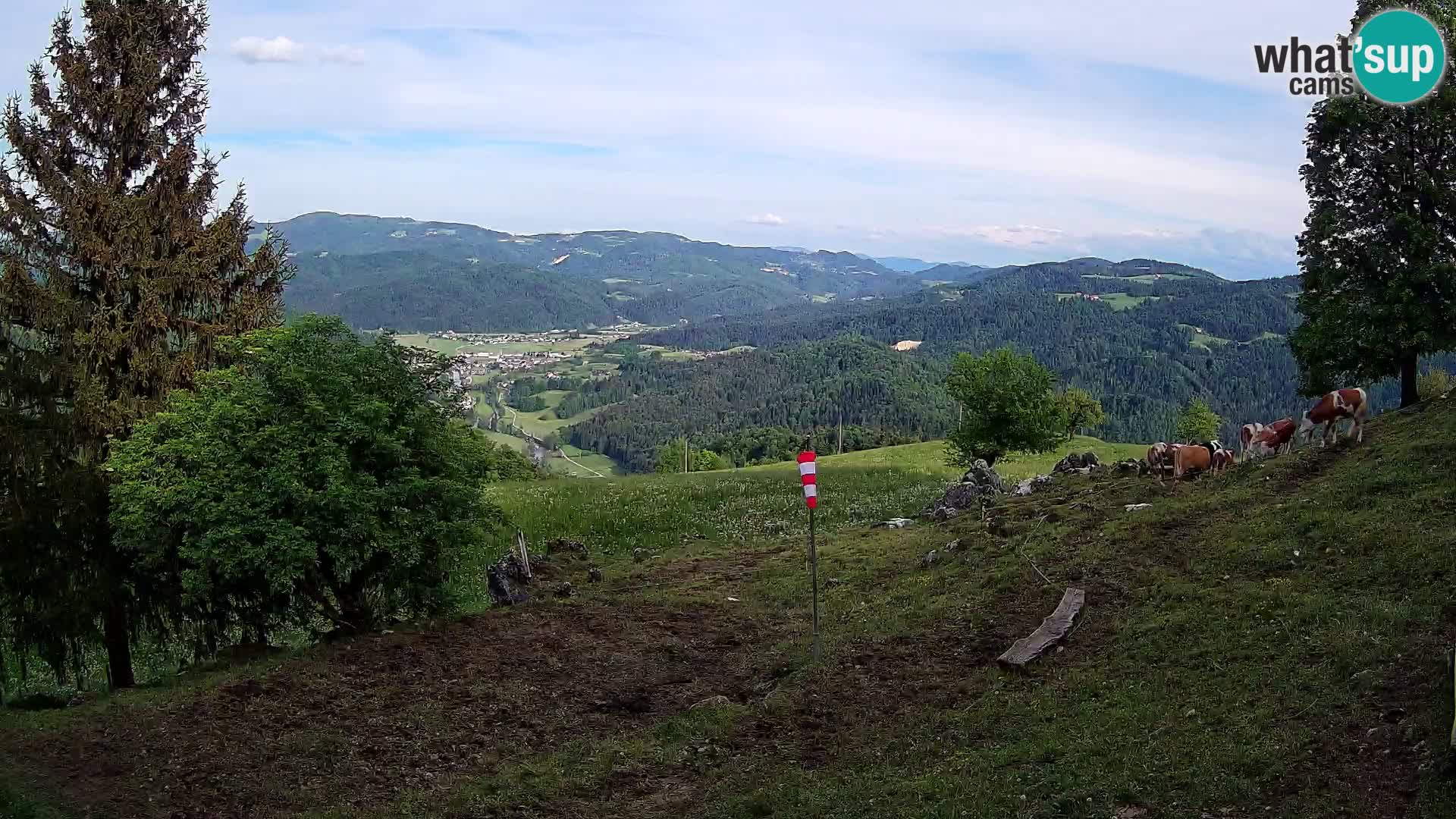 Slajka camera en vivo | Gorenja Vas | Eslovenia