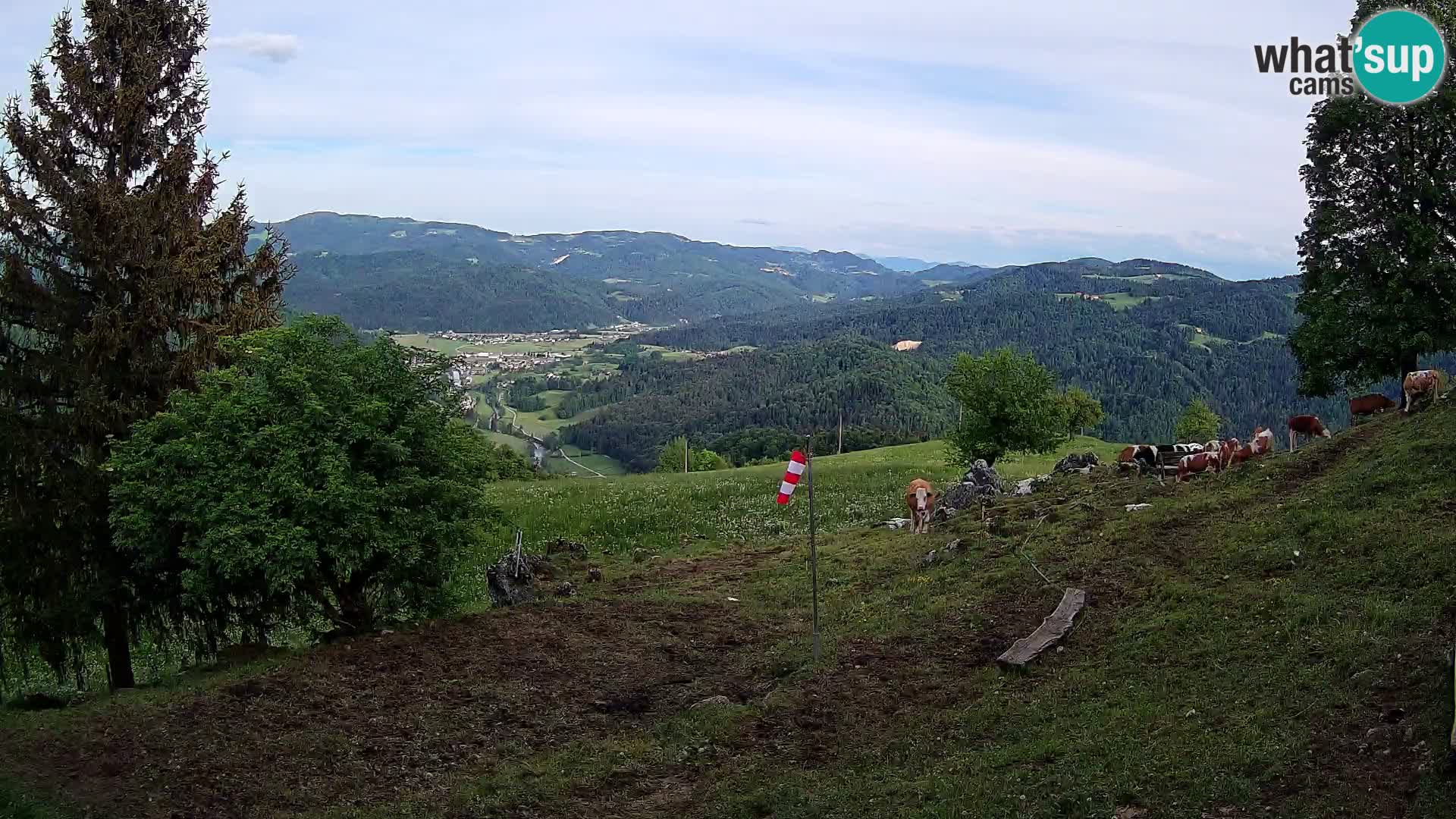 Slajka livecam | Gorenja Vas | Slovénie