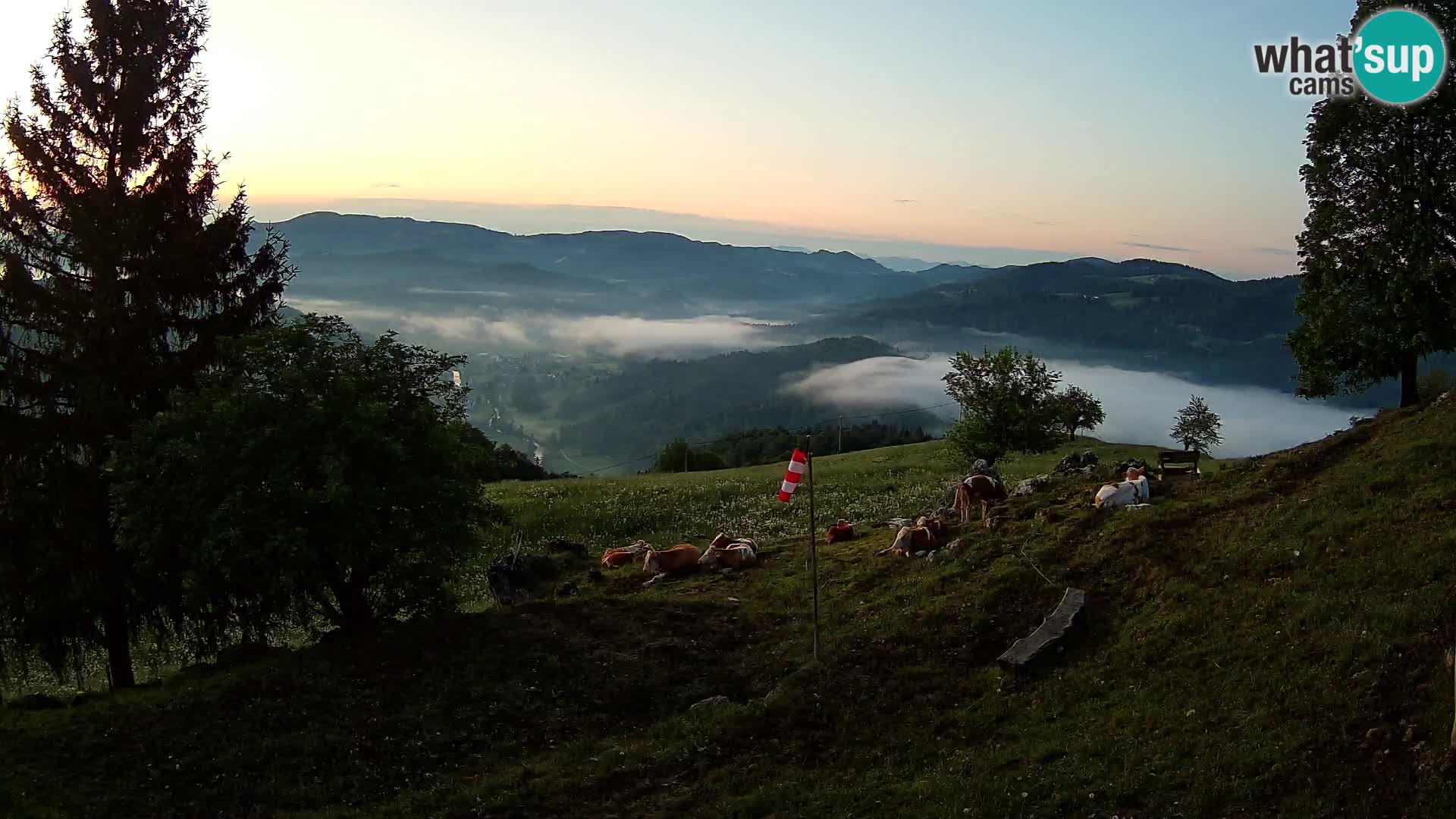 Slajka webam | Gorenja vas | Slovenia