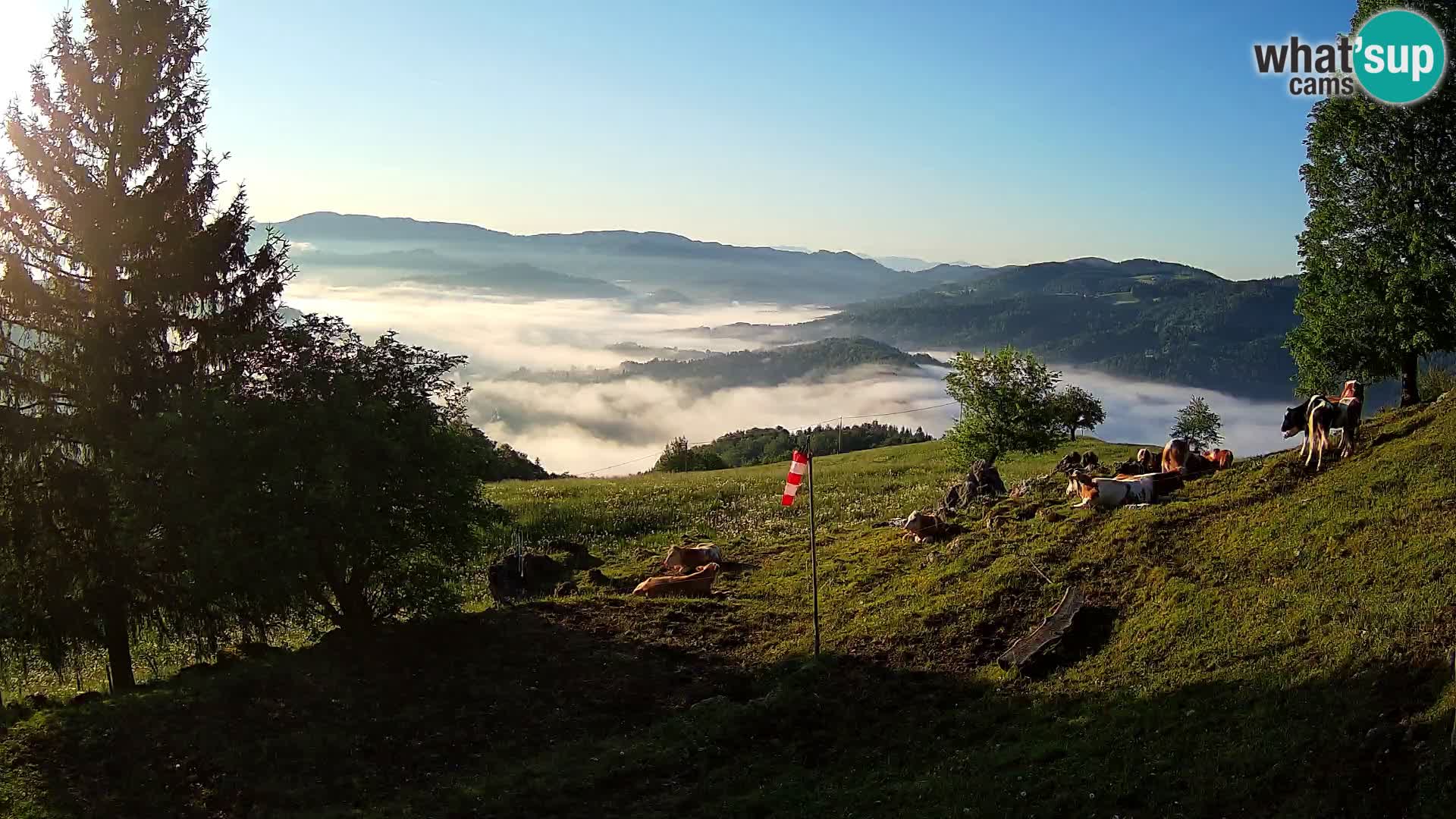 Slajka webam | Gorenja vas | Slovenia