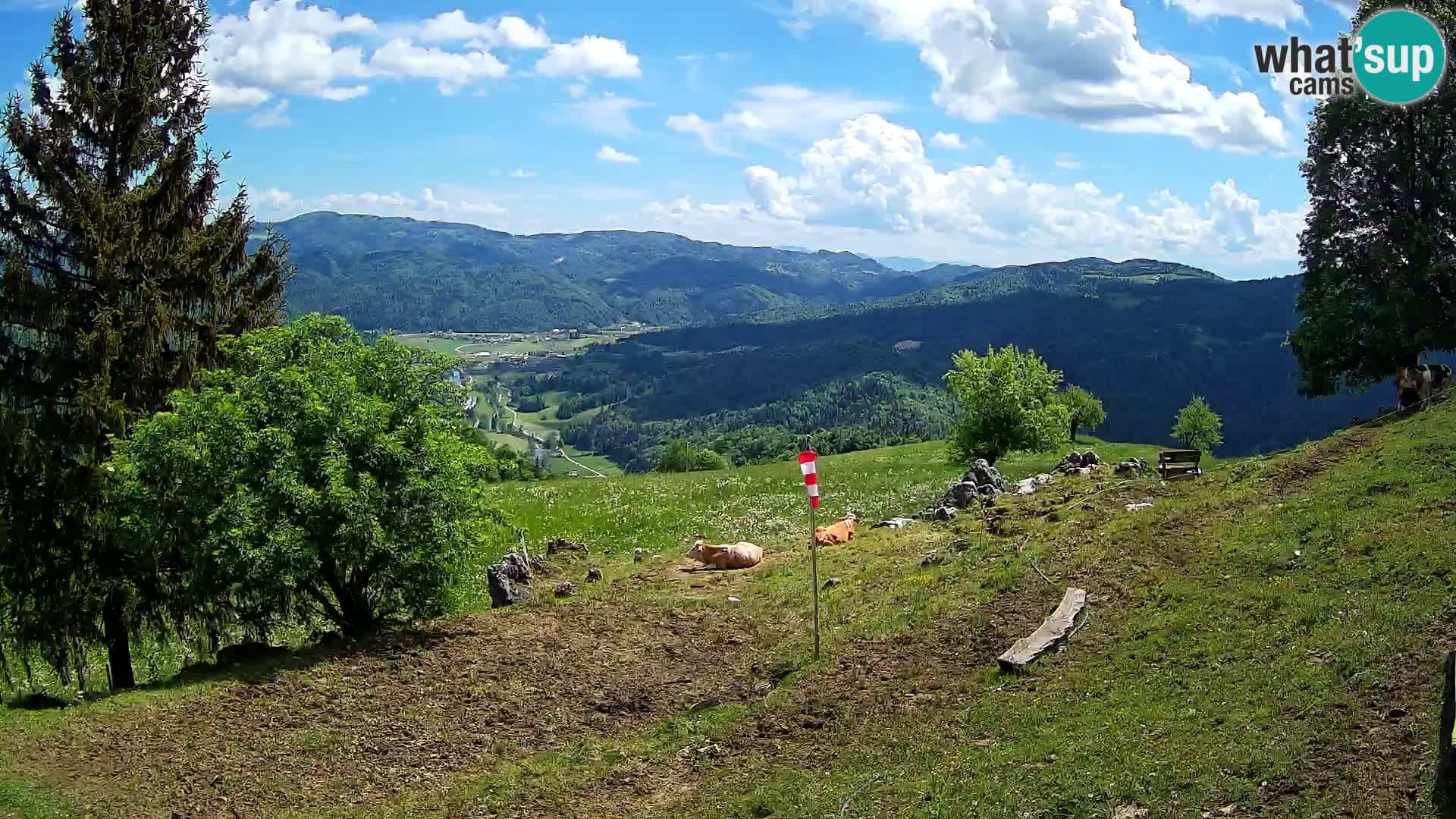 Spletna kamera Slajka | Gorenja vas