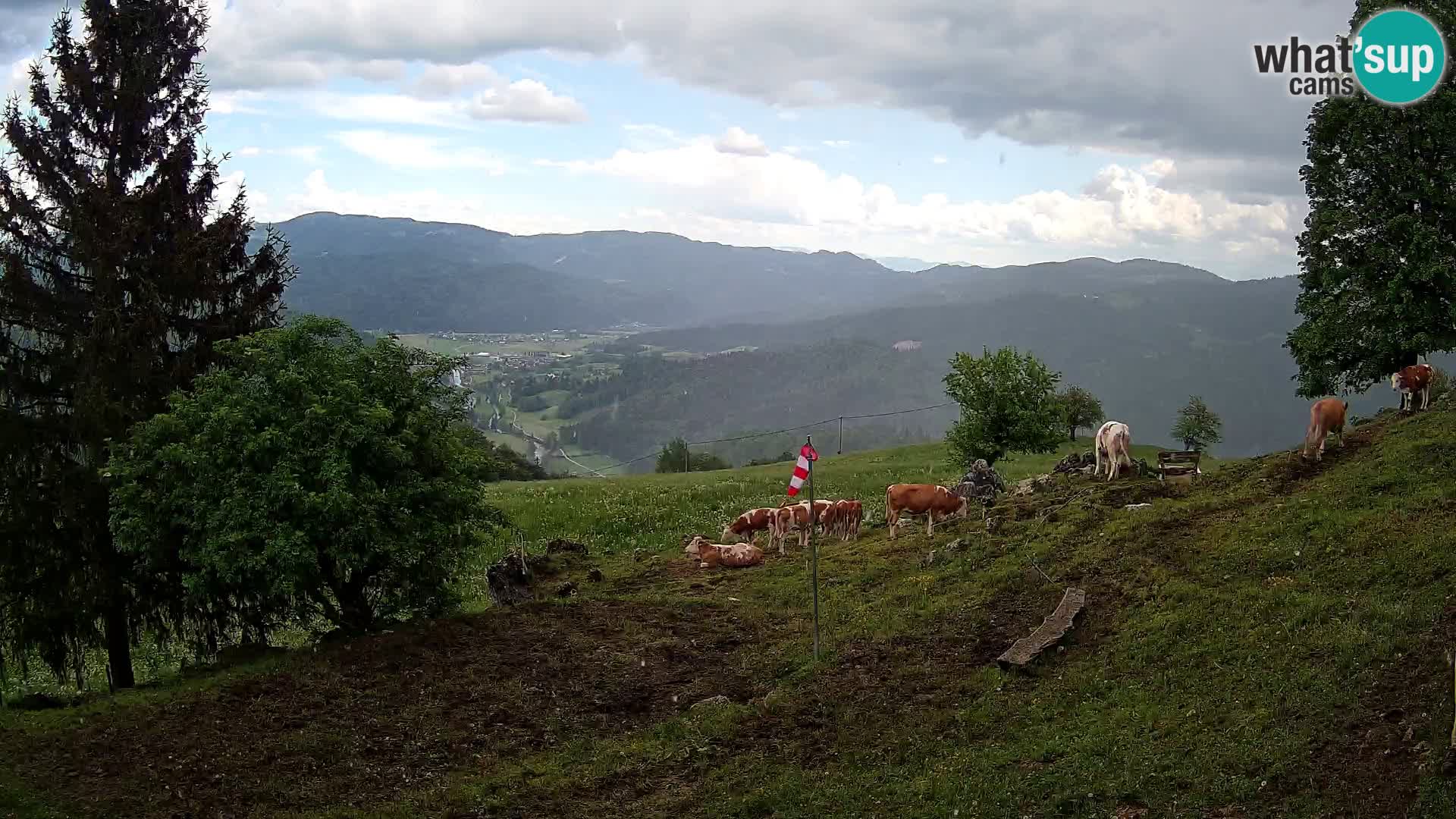 Slajka webam | Gorenja vas | Slovenia