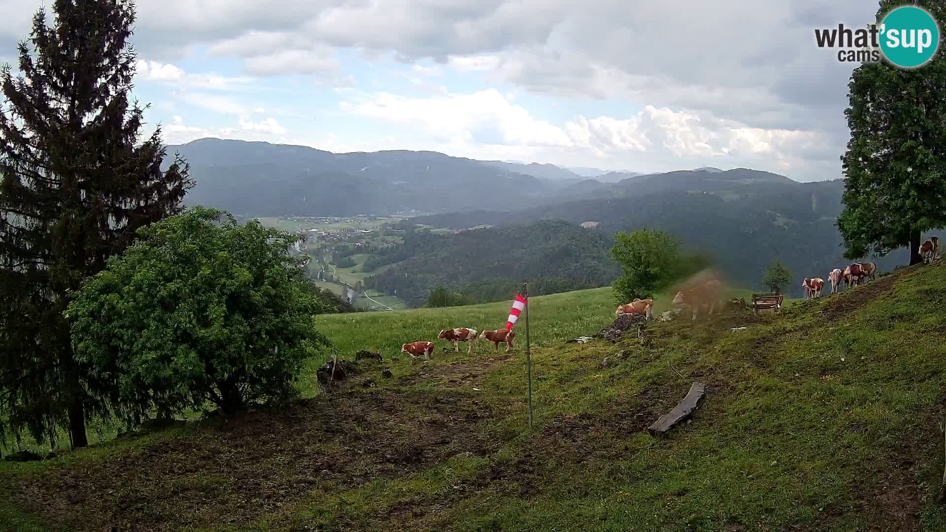 Slajka web kamera | Gorenja Vas | Slovenija