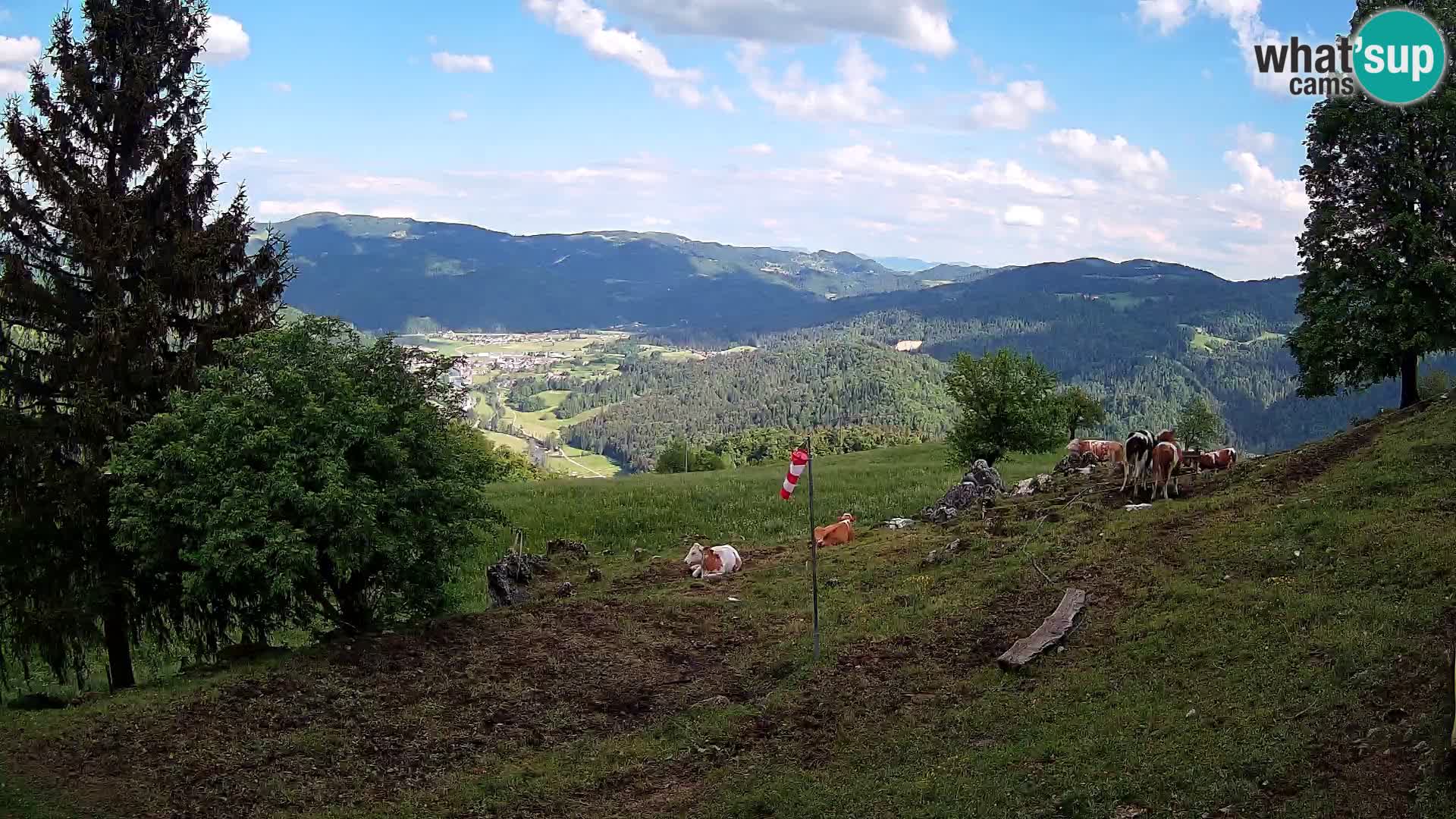 Slajka webam | Gorenja vas | Slovenia