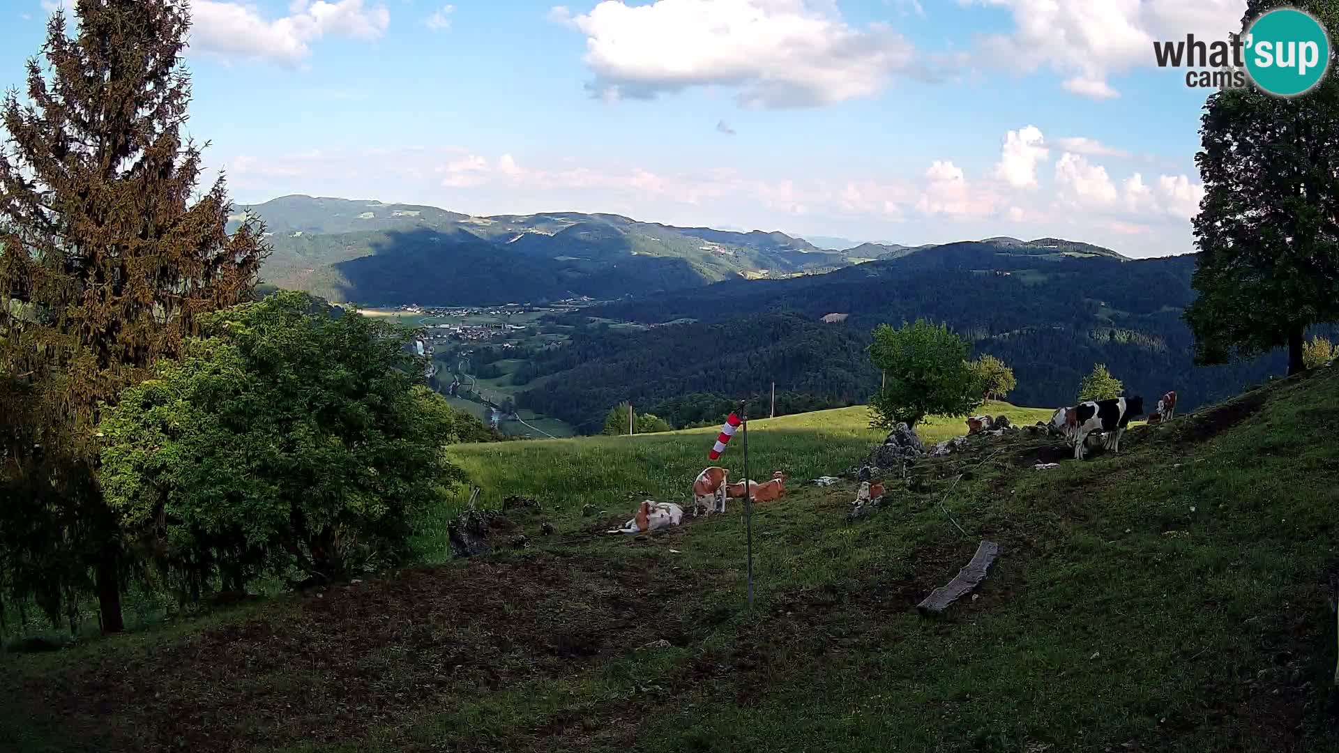 Slajka webam | Gorenja vas | Slovenia