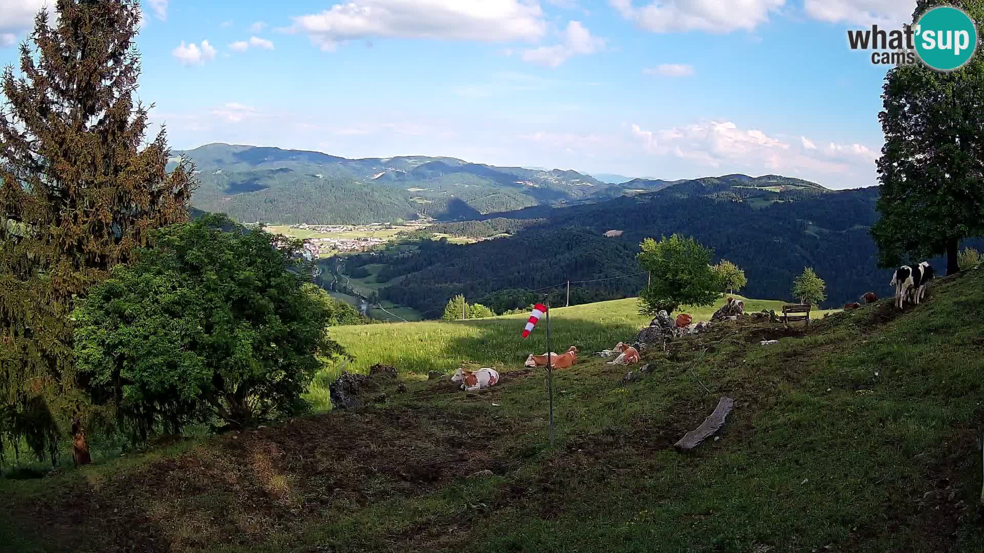 Slajka webcam | Gorenja Vas | Slowenien