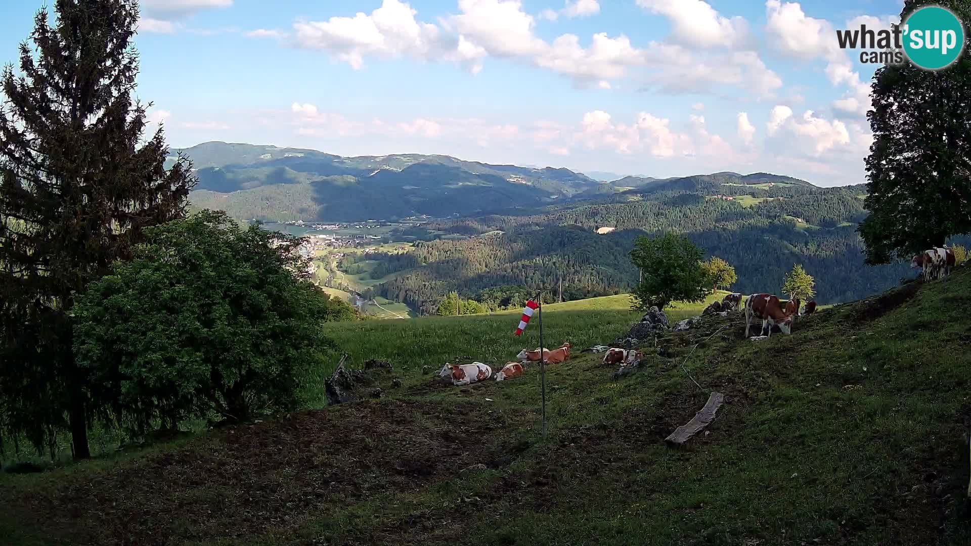 Spletna kamera Slajka | Gorenja vas