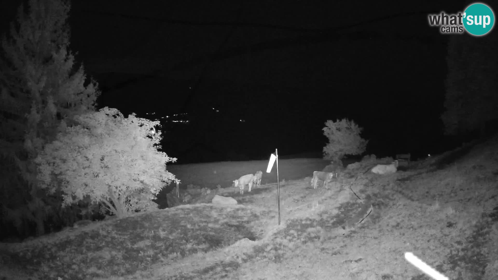 Slajka webcam | Gorenja Vas | Slowenien