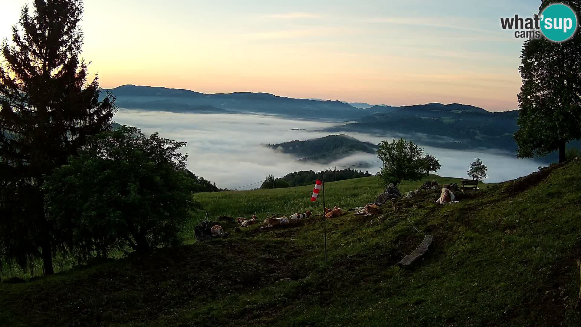 Slajka web kamera | Gorenja Vas | Slovenija