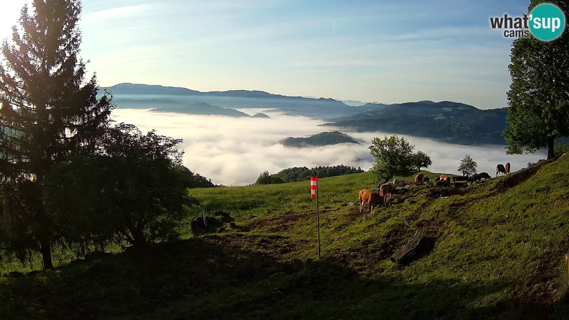 Slajka web kamera | Gorenja Vas | Slovenija