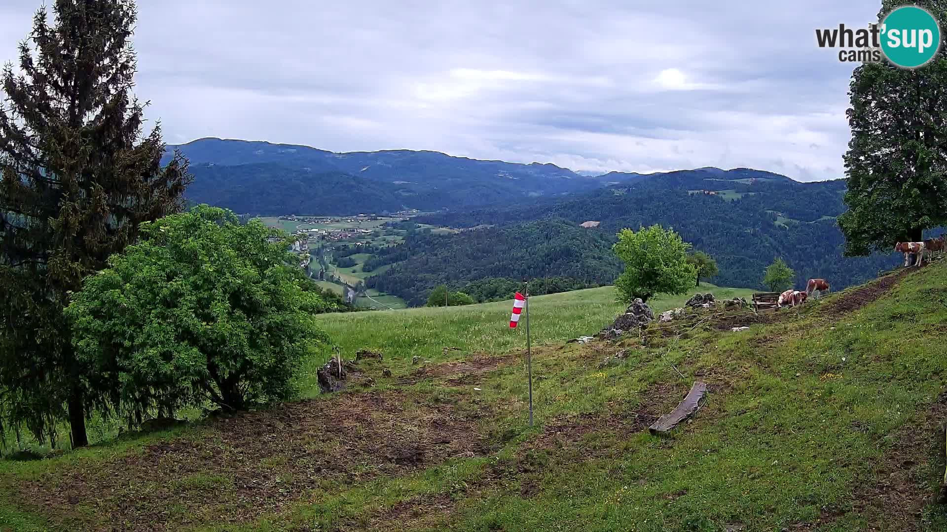 Slajka webcam | Gorenja Vas | Slowenien
