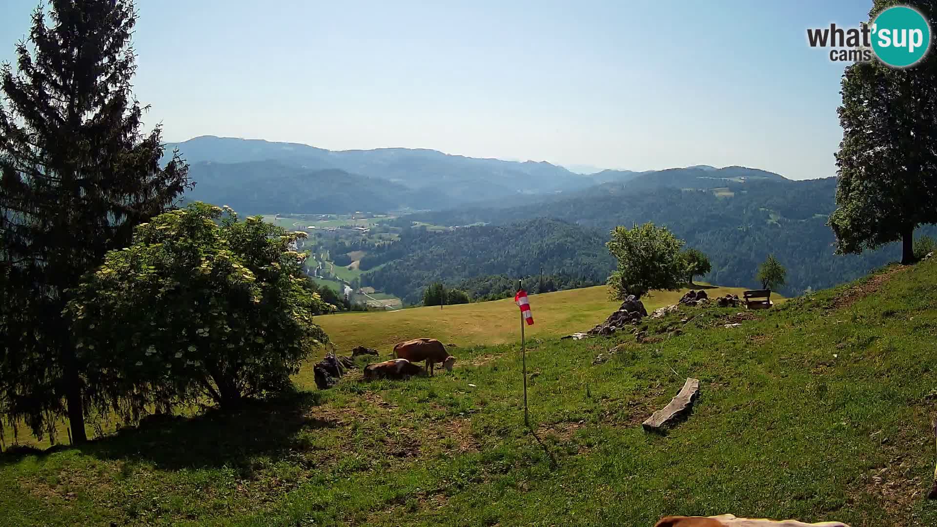 Slajka livecam | Gorenja Vas | Slovénie