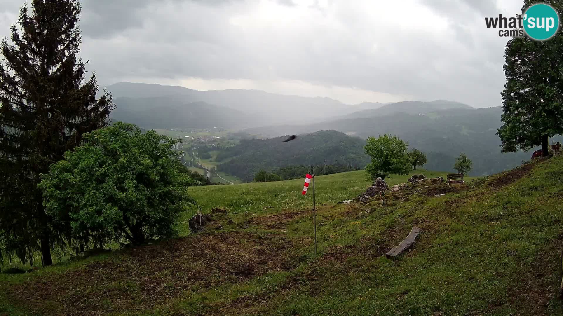 Slajka webam | Gorenja vas | Slovenia