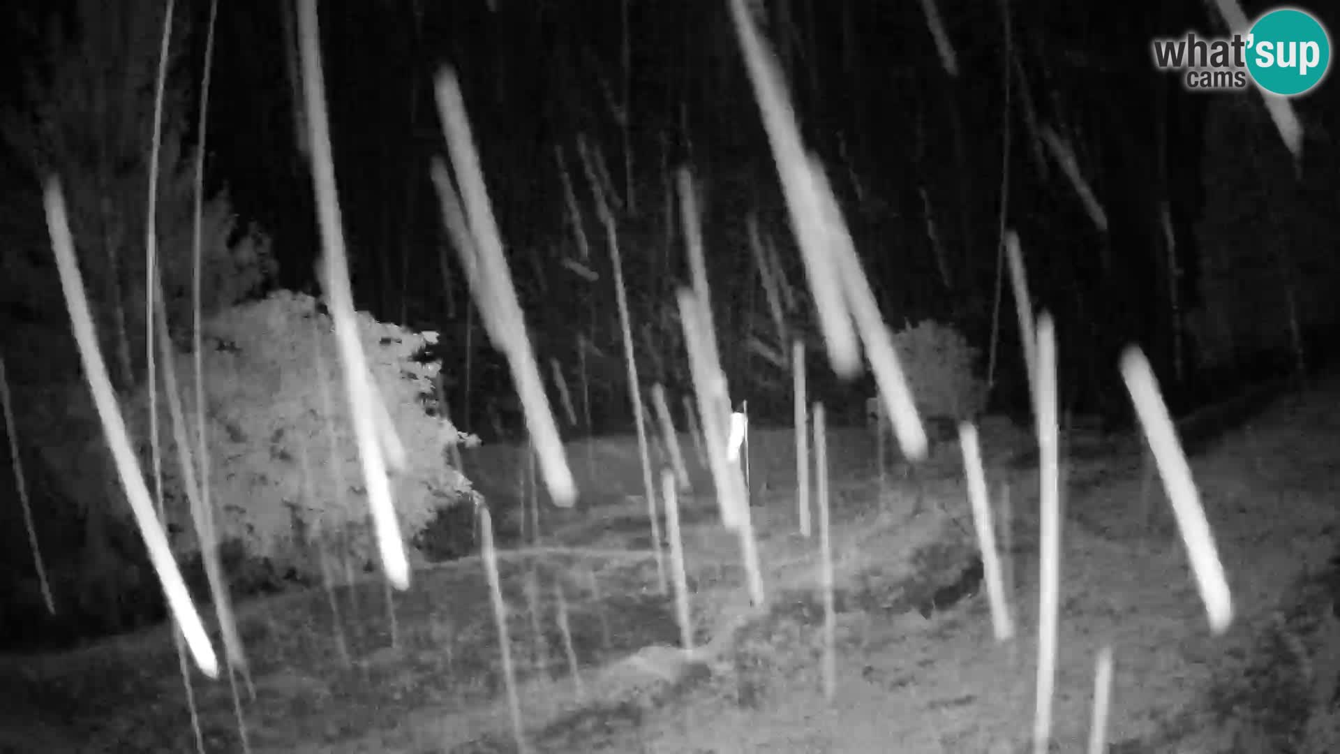 Slajka webcam | Gorenja Vas | Slowenien