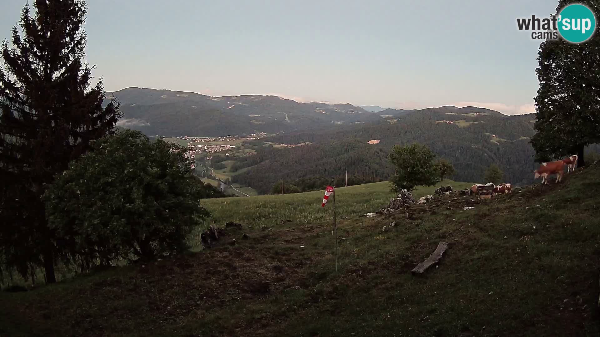 Slajka webcam | Gorenja Vas | Slowenien
