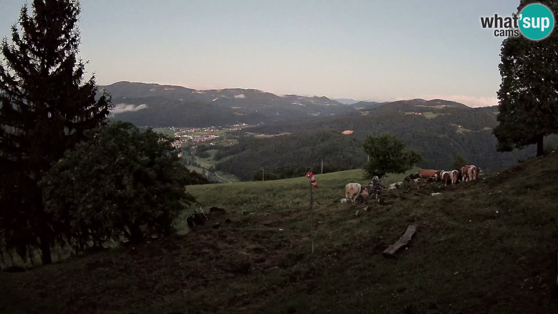 Slajka webam | Gorenja vas | Slovenia