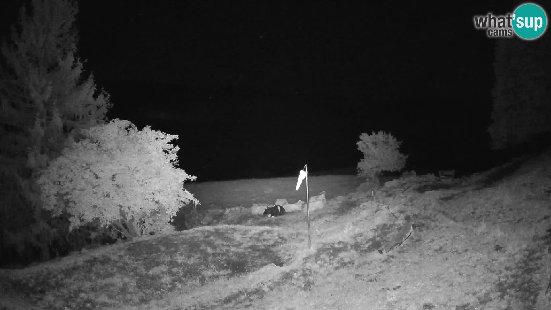 Slajka webam | Gorenja vas | Slovenia