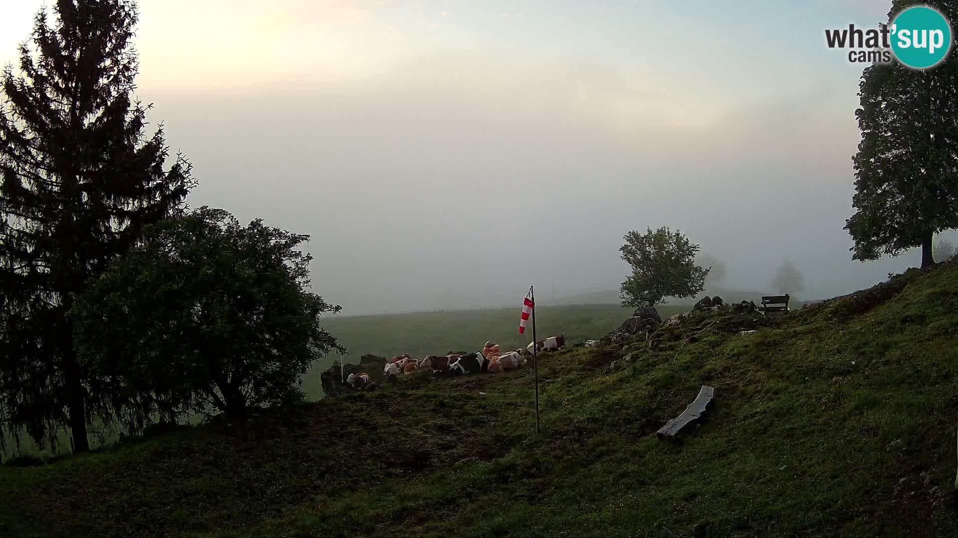 Slajka camera en vivo | Gorenja Vas | Eslovenia