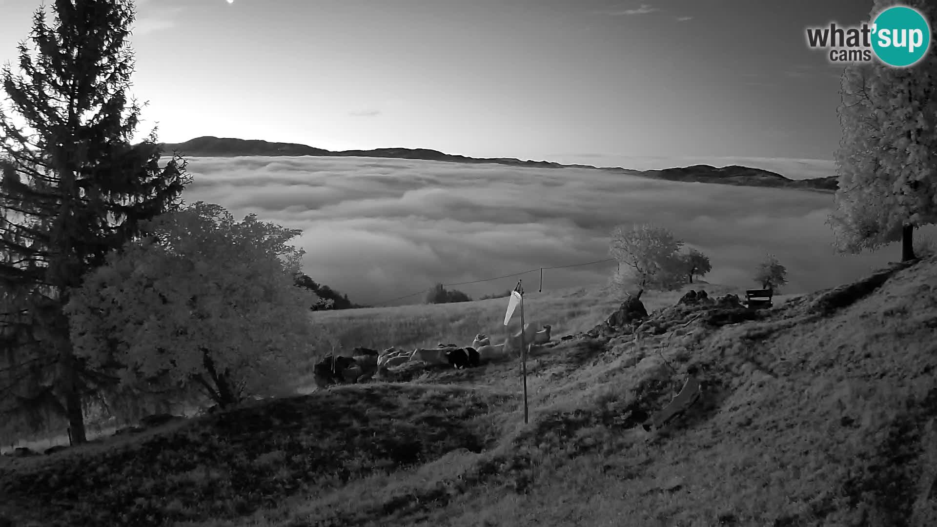 Slajka camera en vivo | Gorenja Vas | Eslovenia