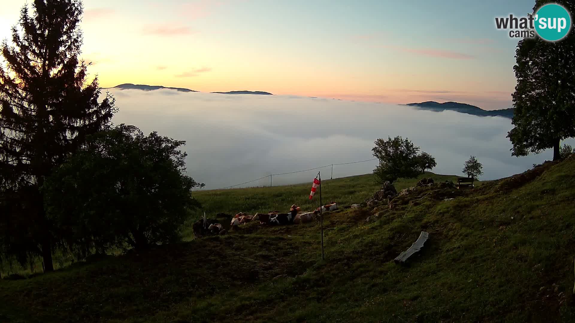 Slajka livecam | Gorenja Vas | Slovénie