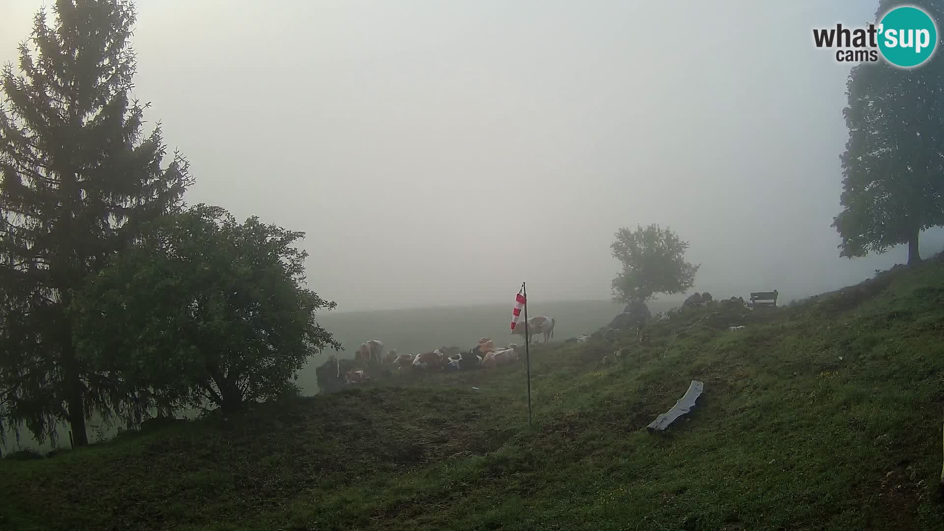 Slajka webam | Gorenja vas | Slovenia