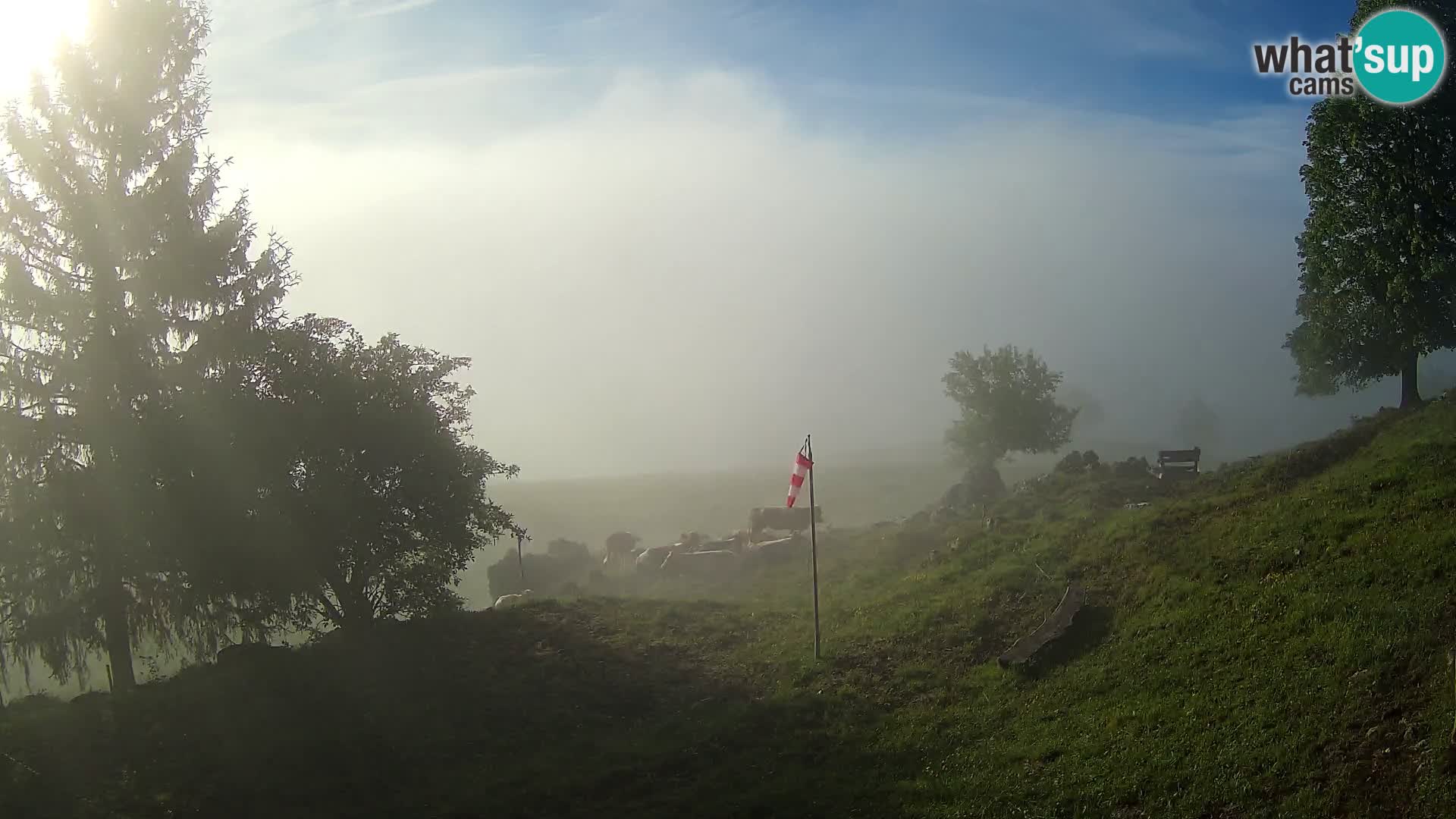 Slajka webcam | Gorenja Vas | Slowenien