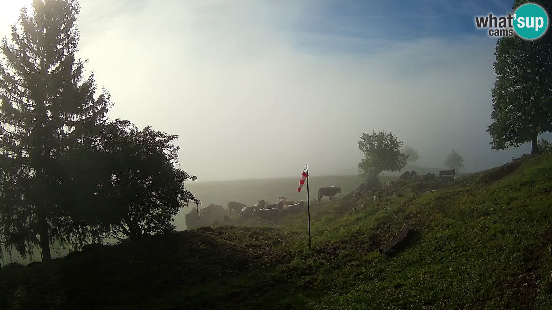Slajka livecam | Gorenja Vas | Slovénie