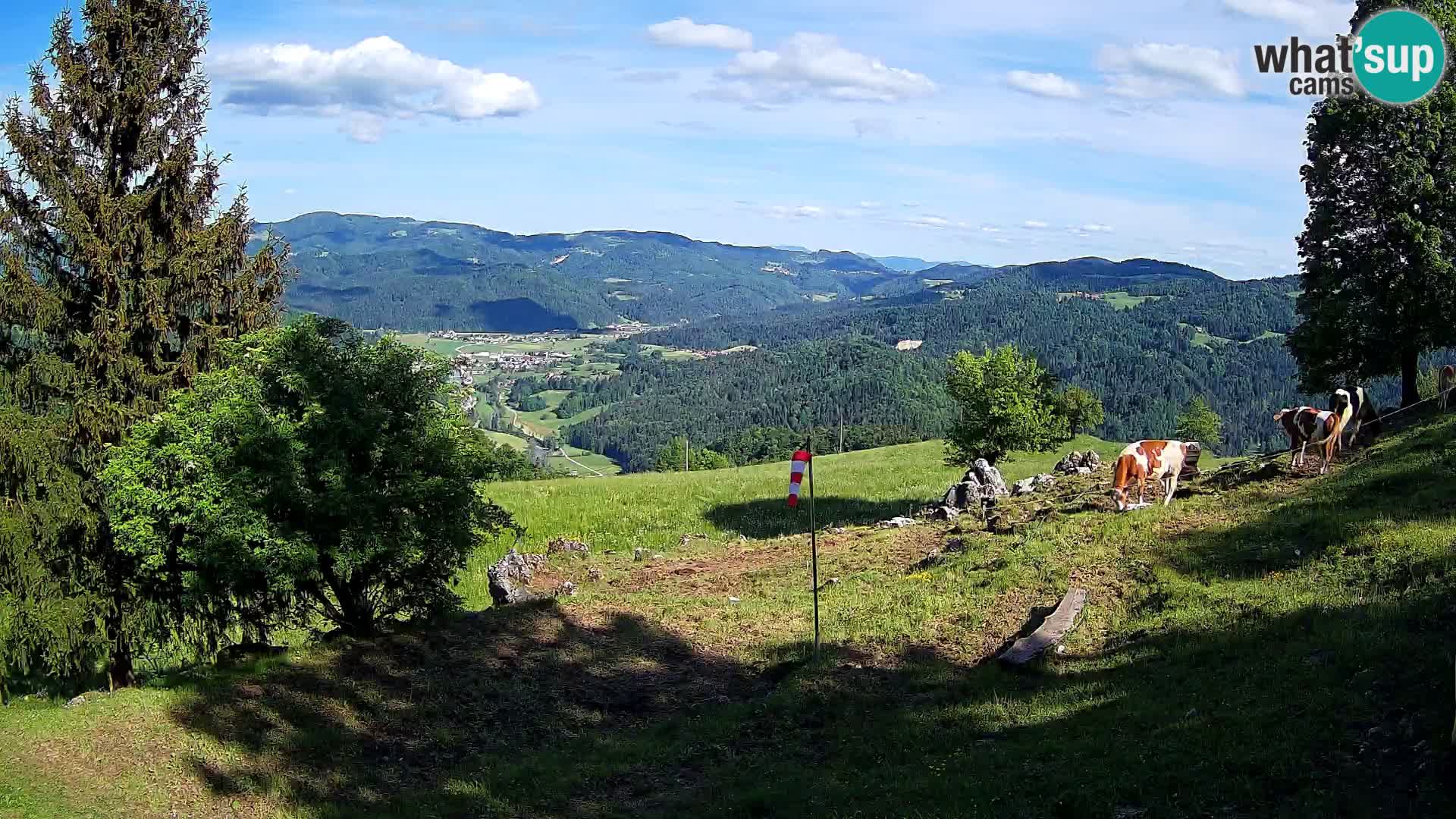 Spletna kamera Slajka | Gorenja vas