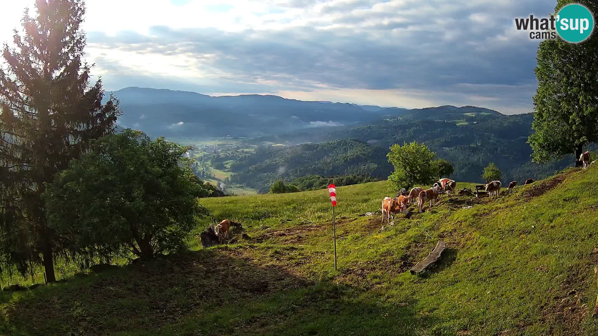 Slajka camera en vivo | Gorenja Vas | Eslovenia