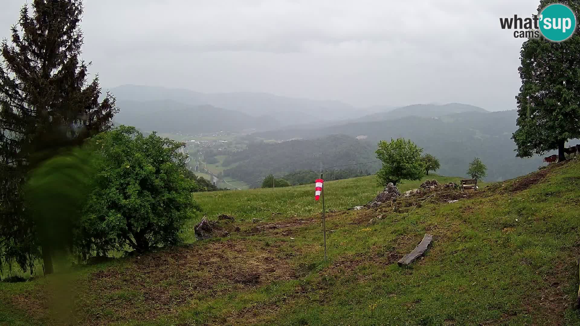 Slajka camera en vivo | Gorenja Vas | Eslovenia