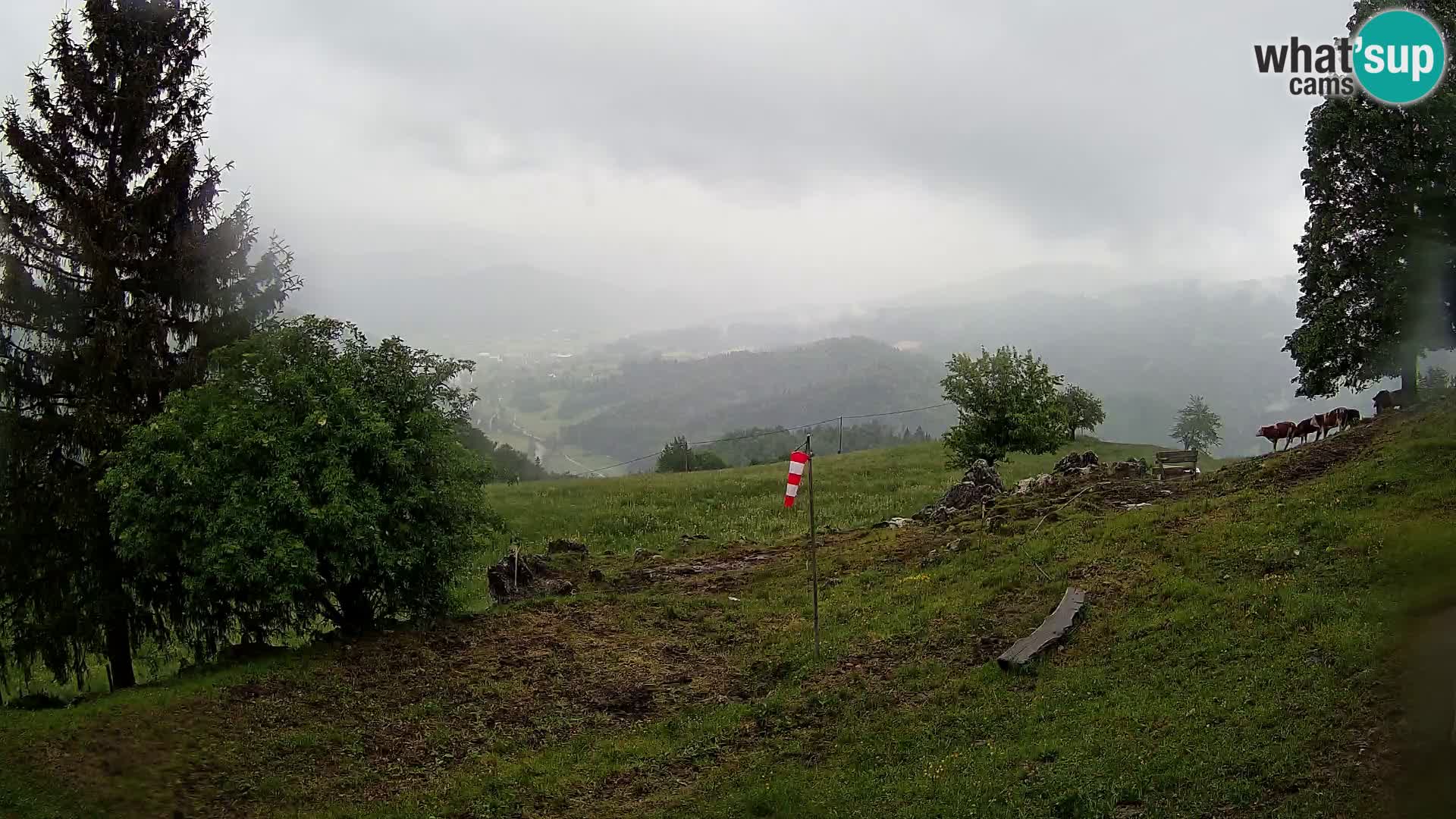 Slajka web kamera | Gorenja Vas | Slovenija
