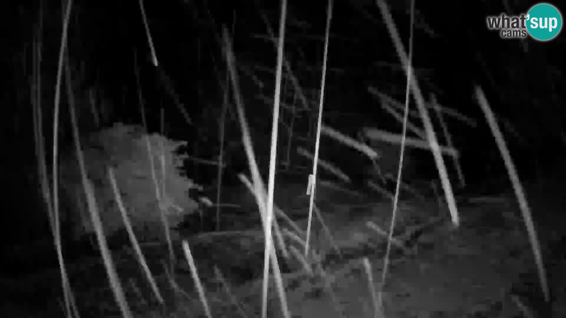 Slajka webcam | Gorenja Vas | Slowenien