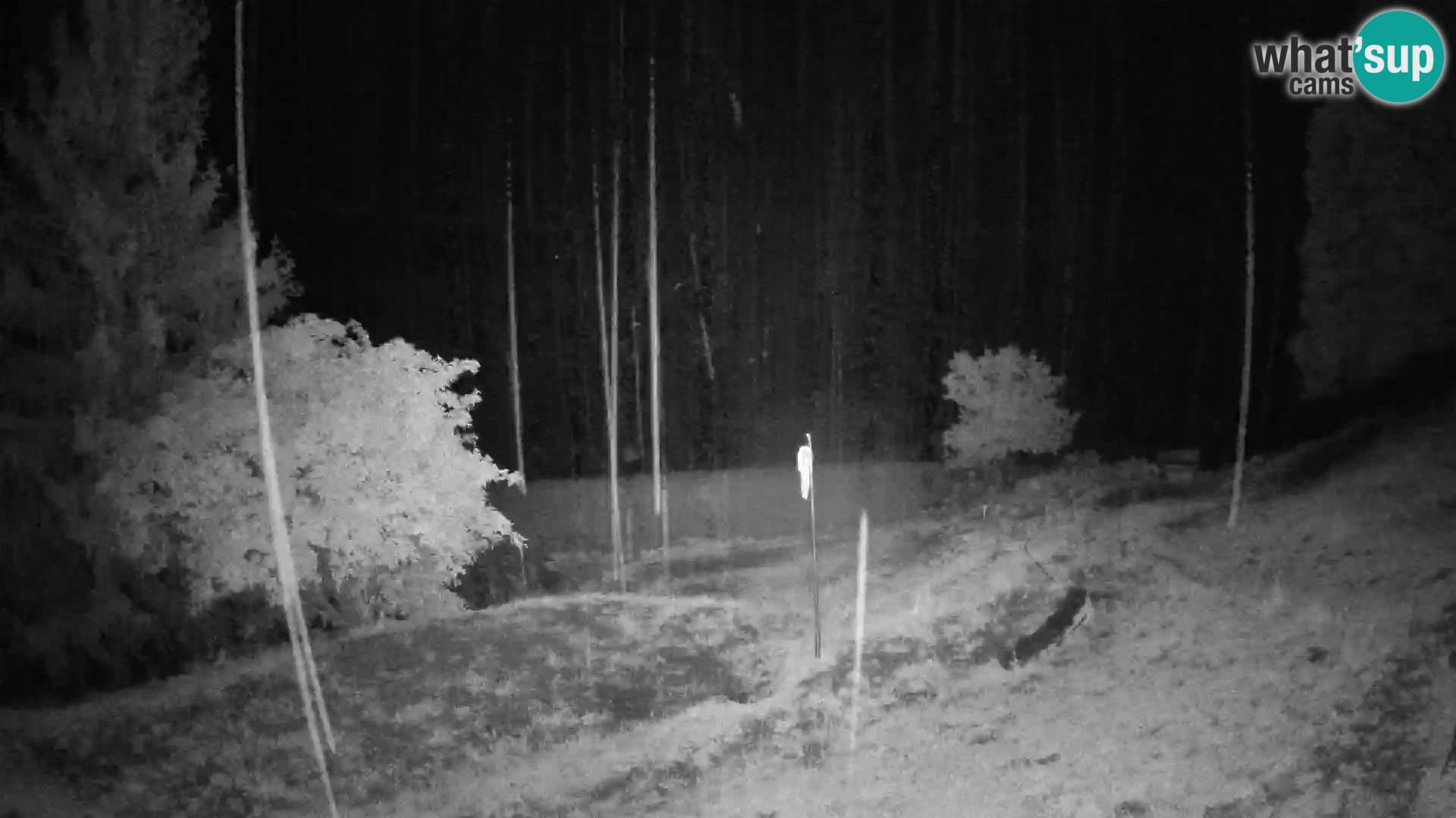 Slajka livecam | Gorenja Vas | Slovénie