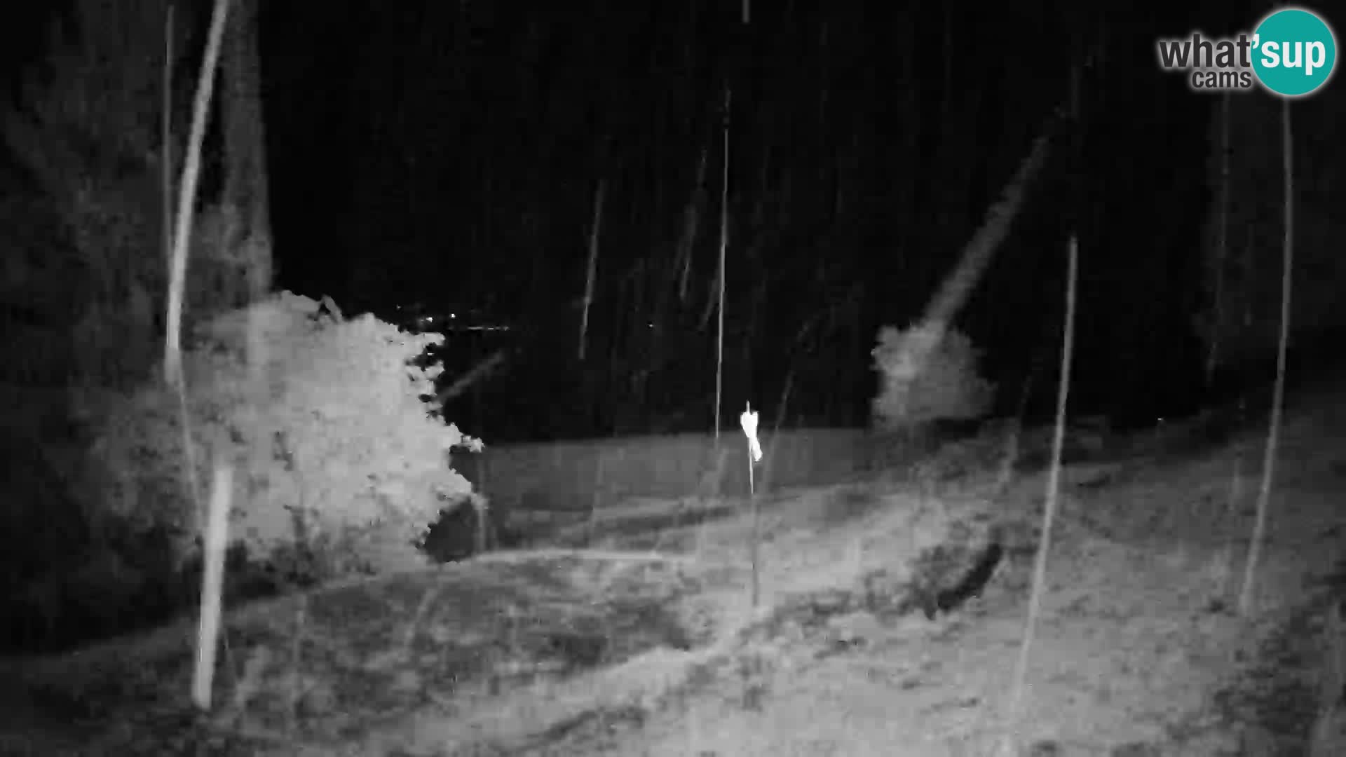 Slajka camera en vivo | Gorenja Vas | Eslovenia