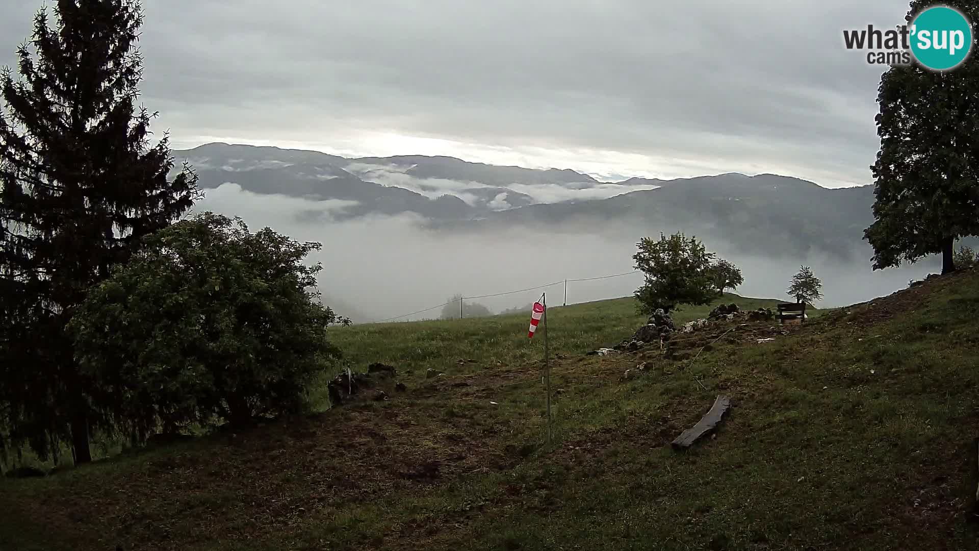 Slajka livecam | Gorenja Vas | Slovénie