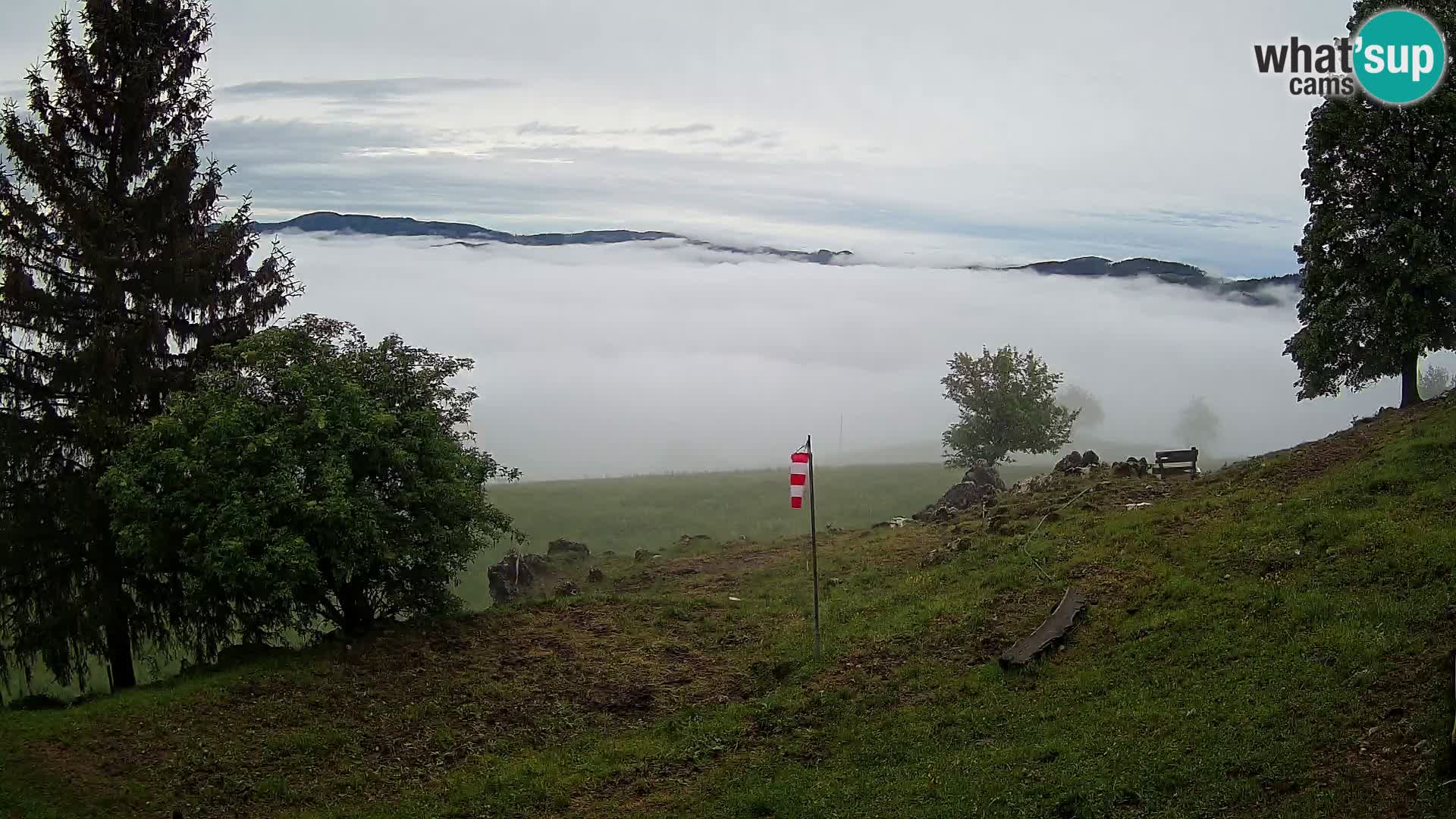 Slajka camera en vivo | Gorenja Vas | Eslovenia