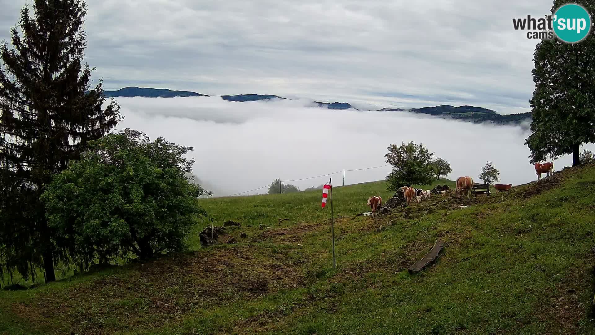 Webcam Slajka | Gorenja vas | Slovenia